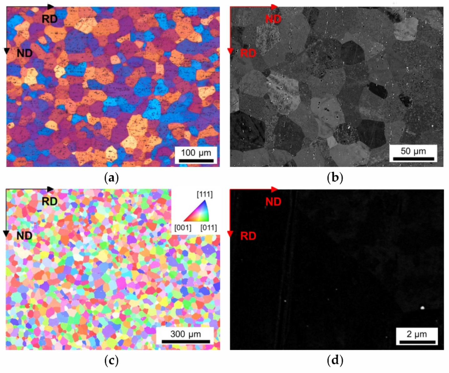Materials 14 03312 g002