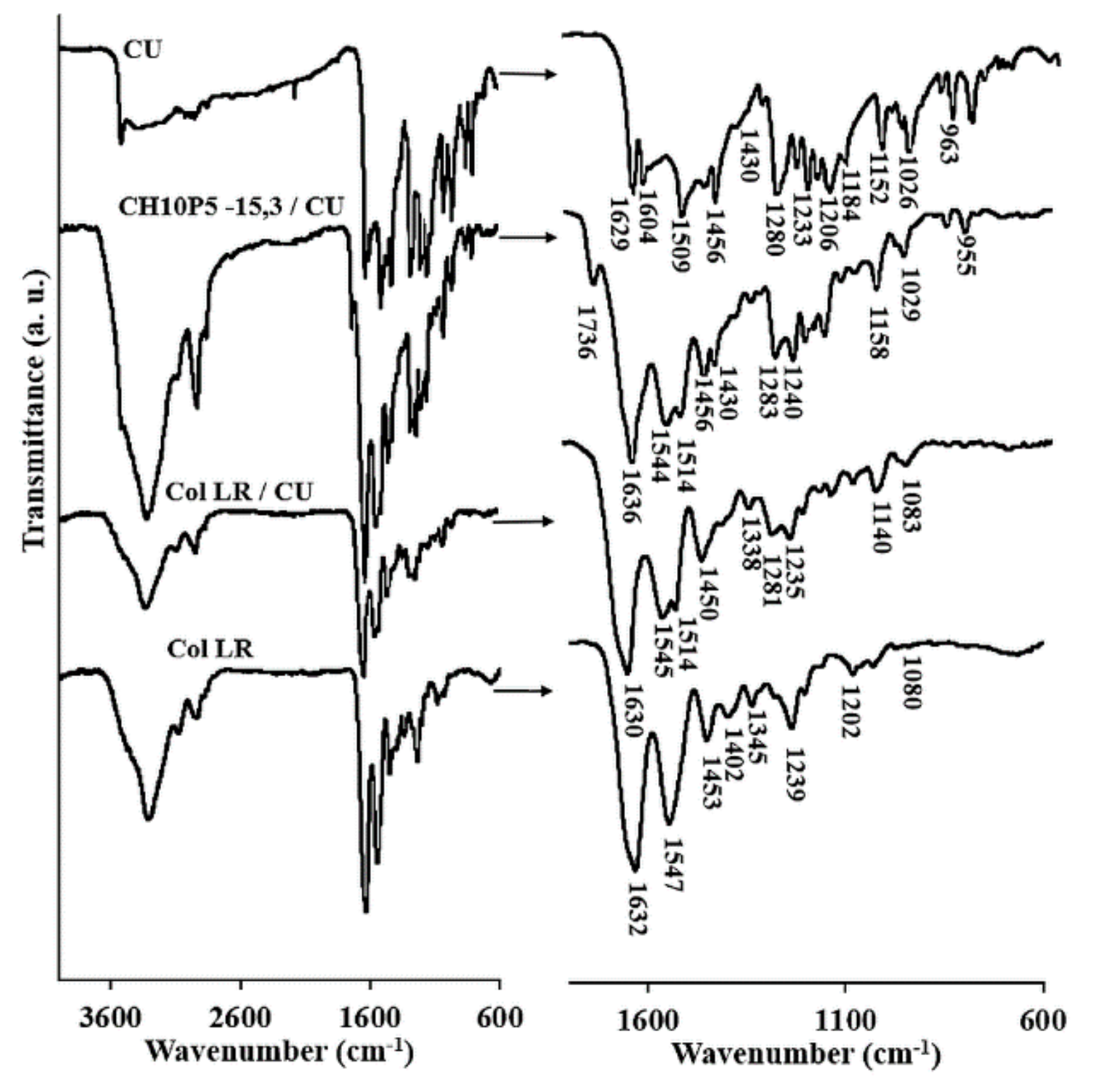 Materials 14 03313 g006 Materials 14 03313 g006