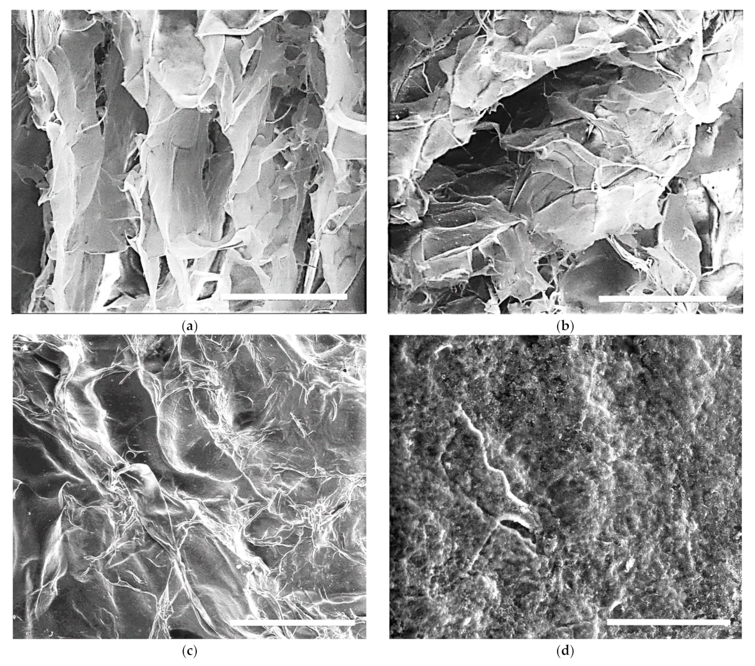 Materials 14 03313 g007a Materials 14 03313 g007a