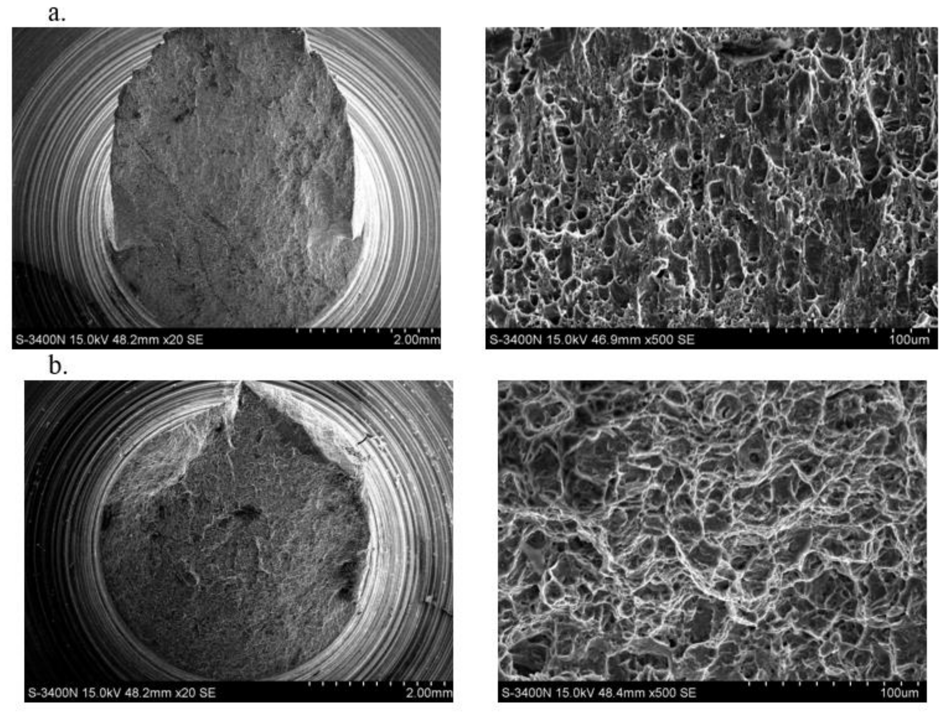 Materials 14 03317 g013