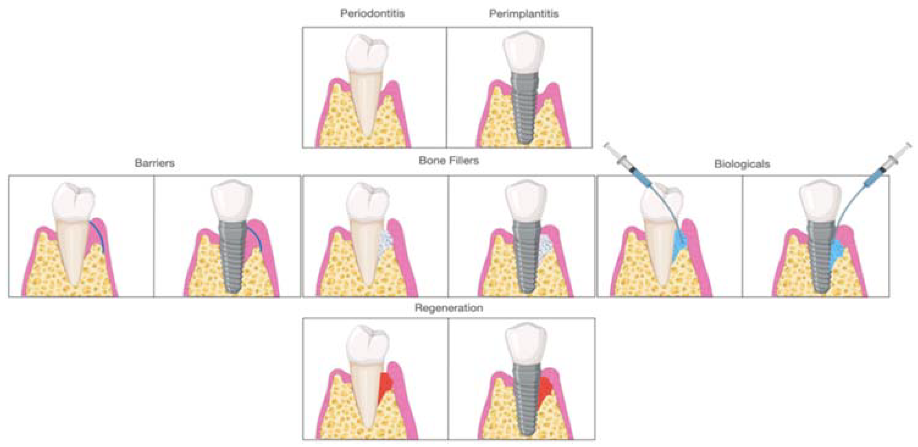 Materials 14 03319 g002 Materials 14 03319 g002