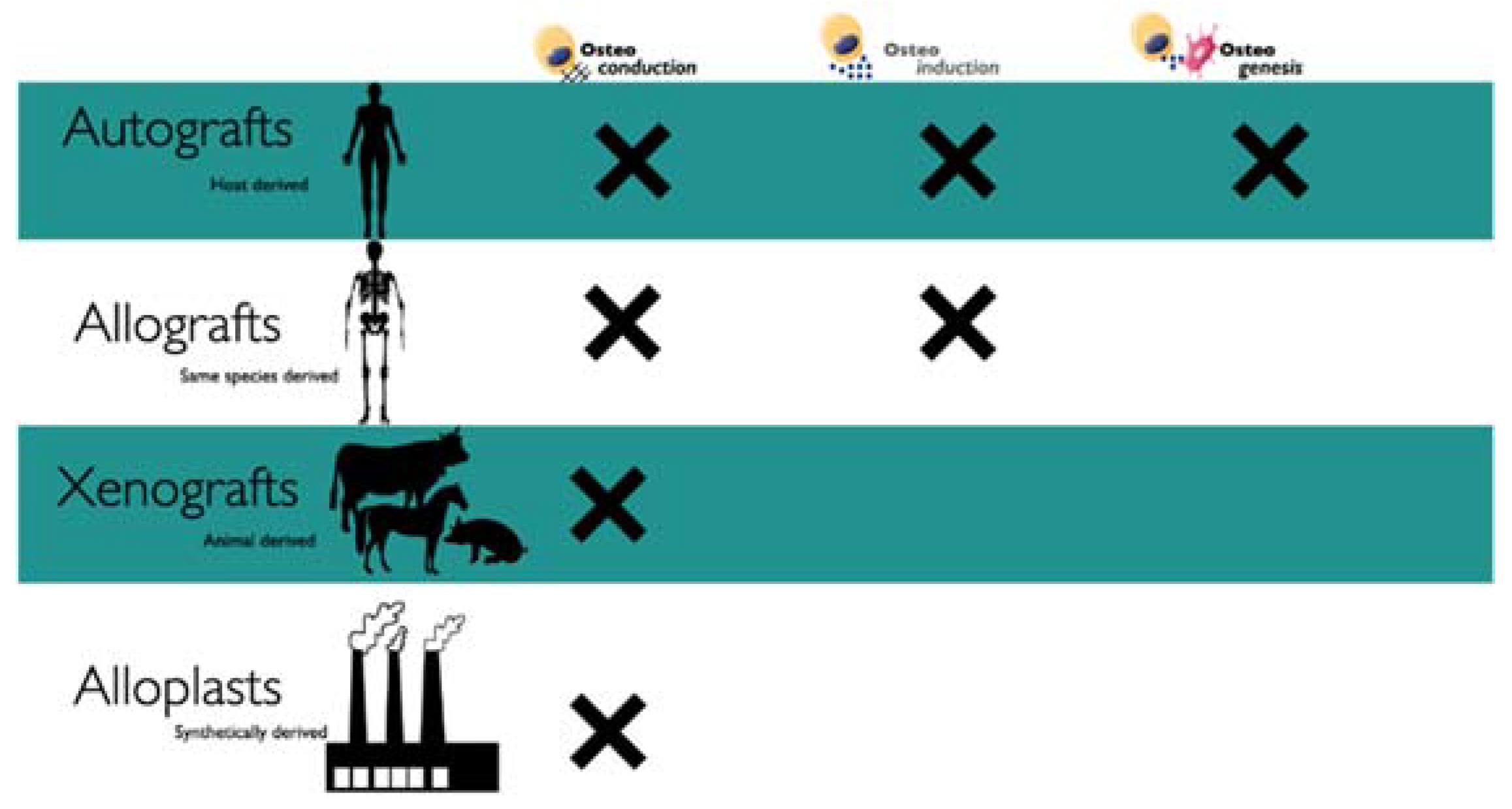 Materials 14 03319 g003 Materials 14 03319 g003