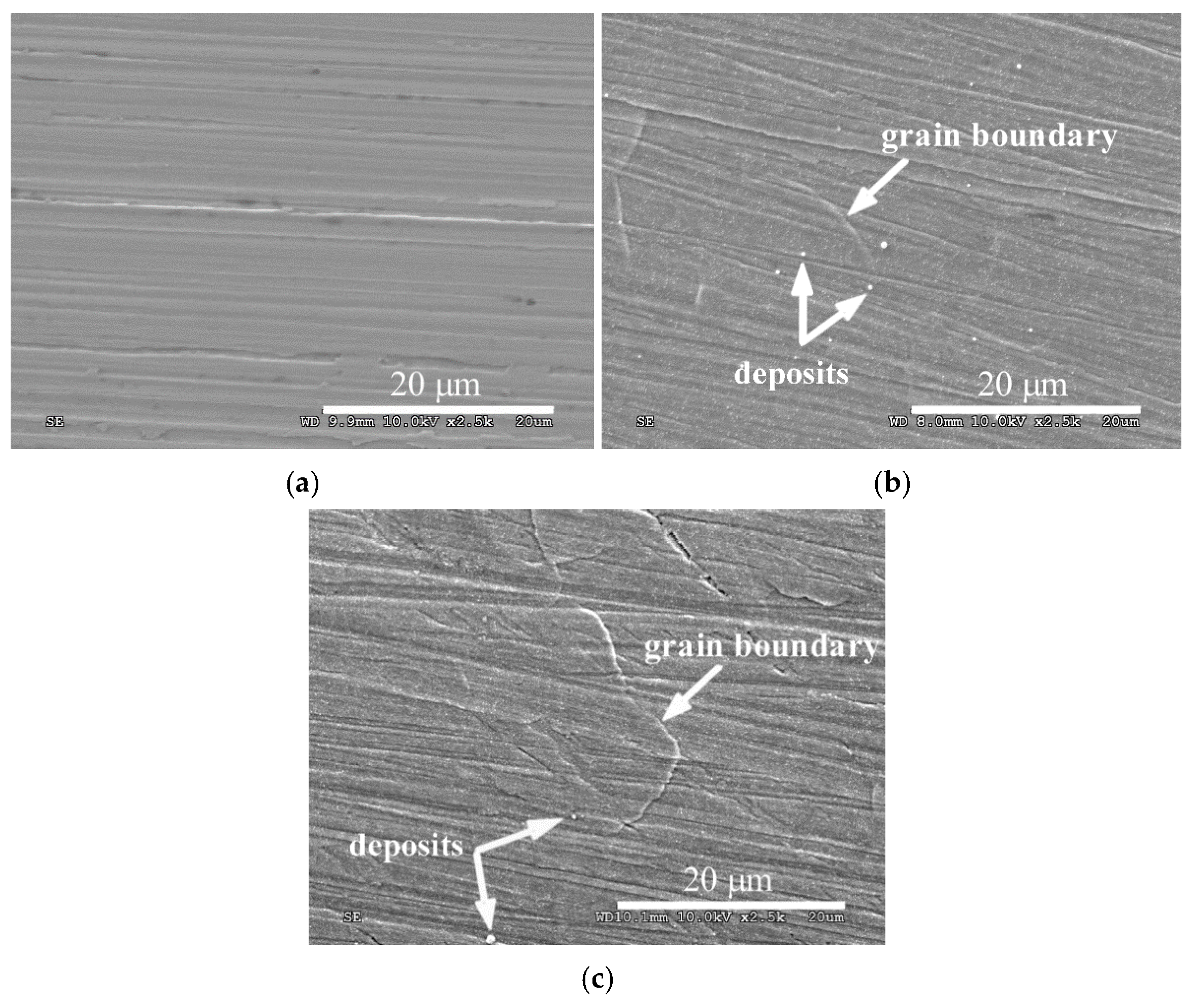 Materials 14 03320 g003 Materials 14 03320 g003