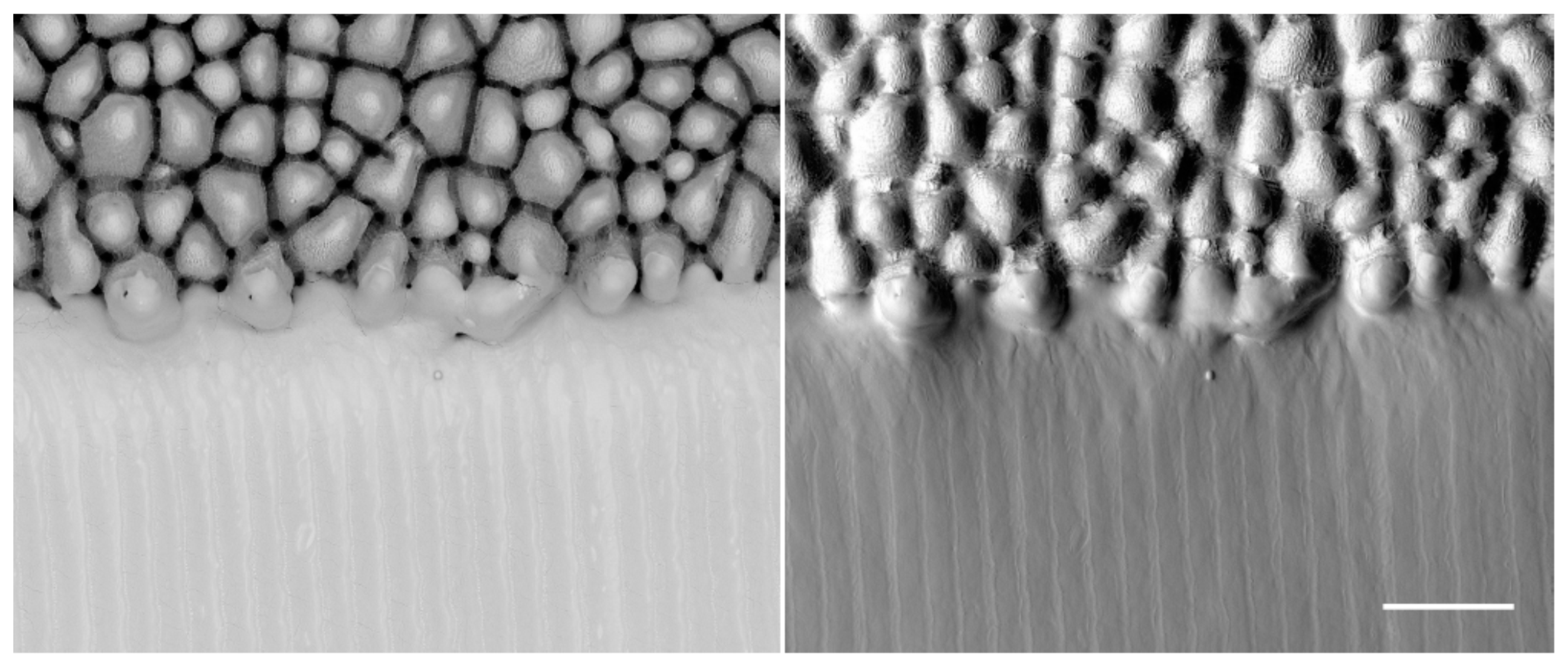 Materials 14 03331 g013