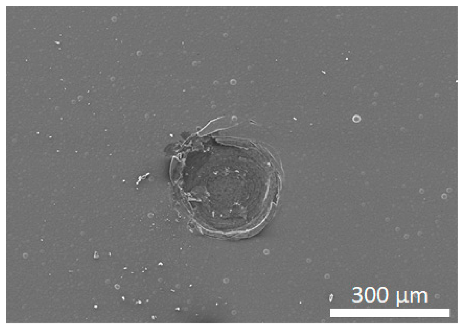 Materials 14 03333 g005