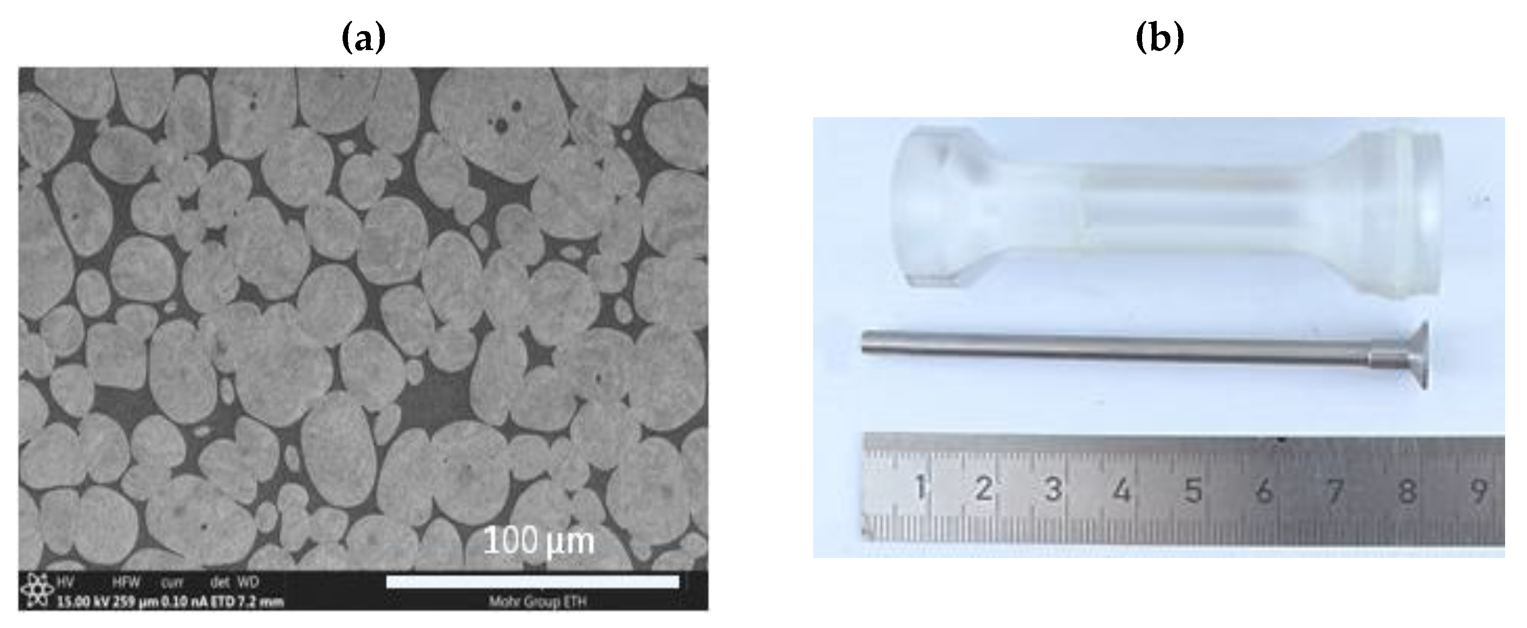 Materials 14 03334 g001