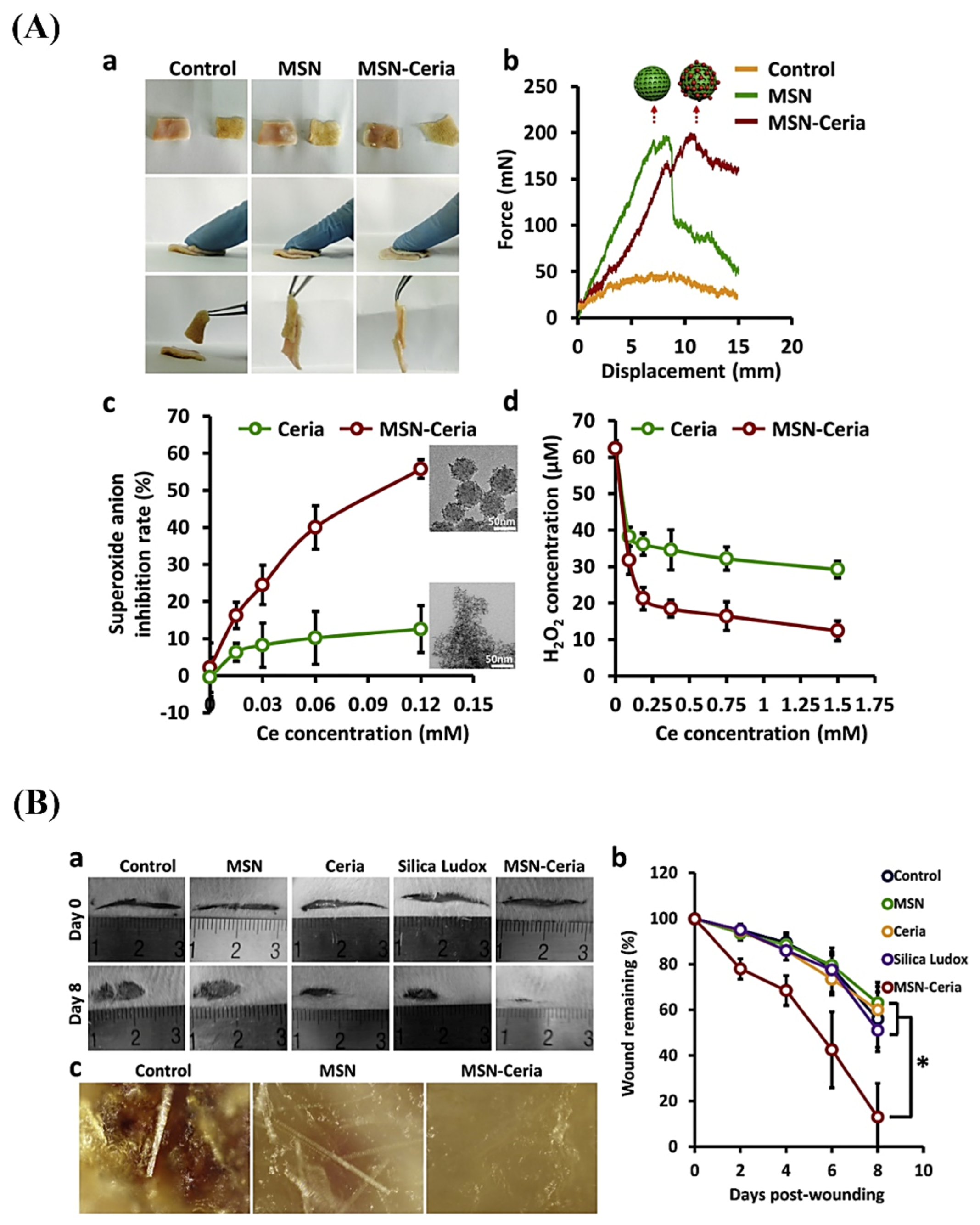 Materials 14 03337 g003 Materials 14 03337 g003