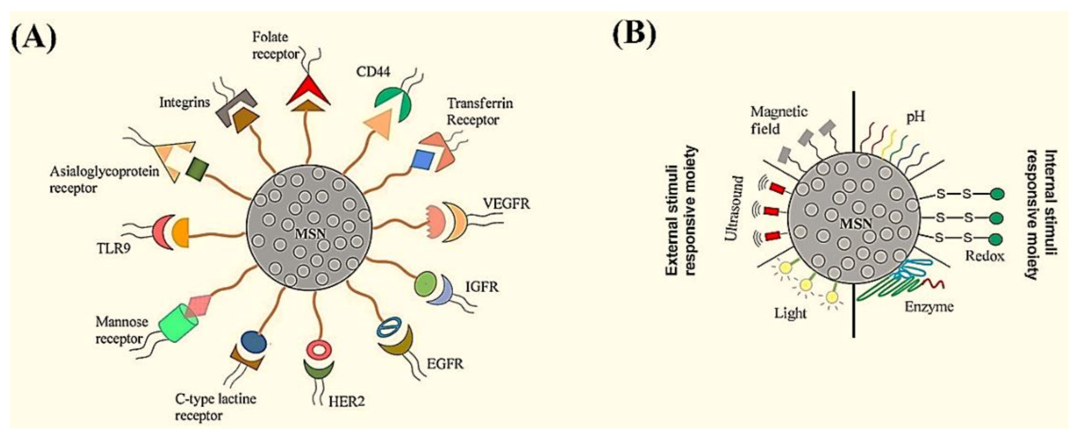 Materials 14 03337 g004 Materials 14 03337 g004