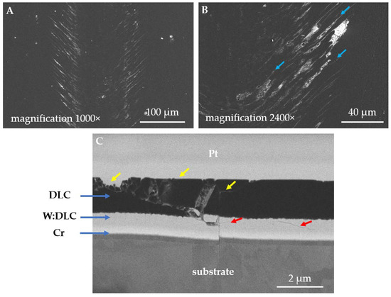 The Effect of TiN and DLC Anti-Wear Coatings on the