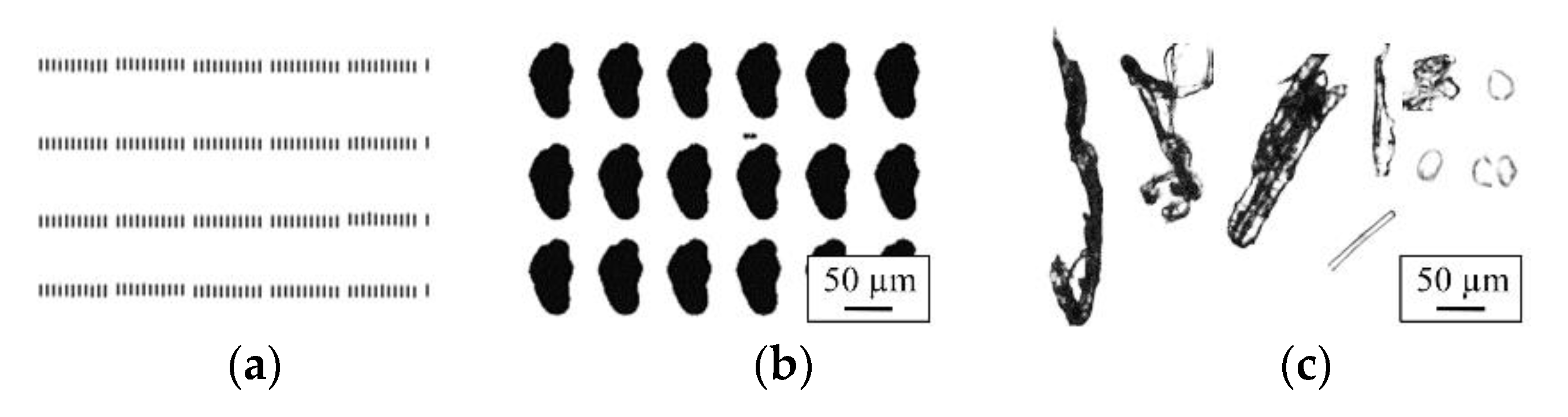 Materials 14 03344 g002