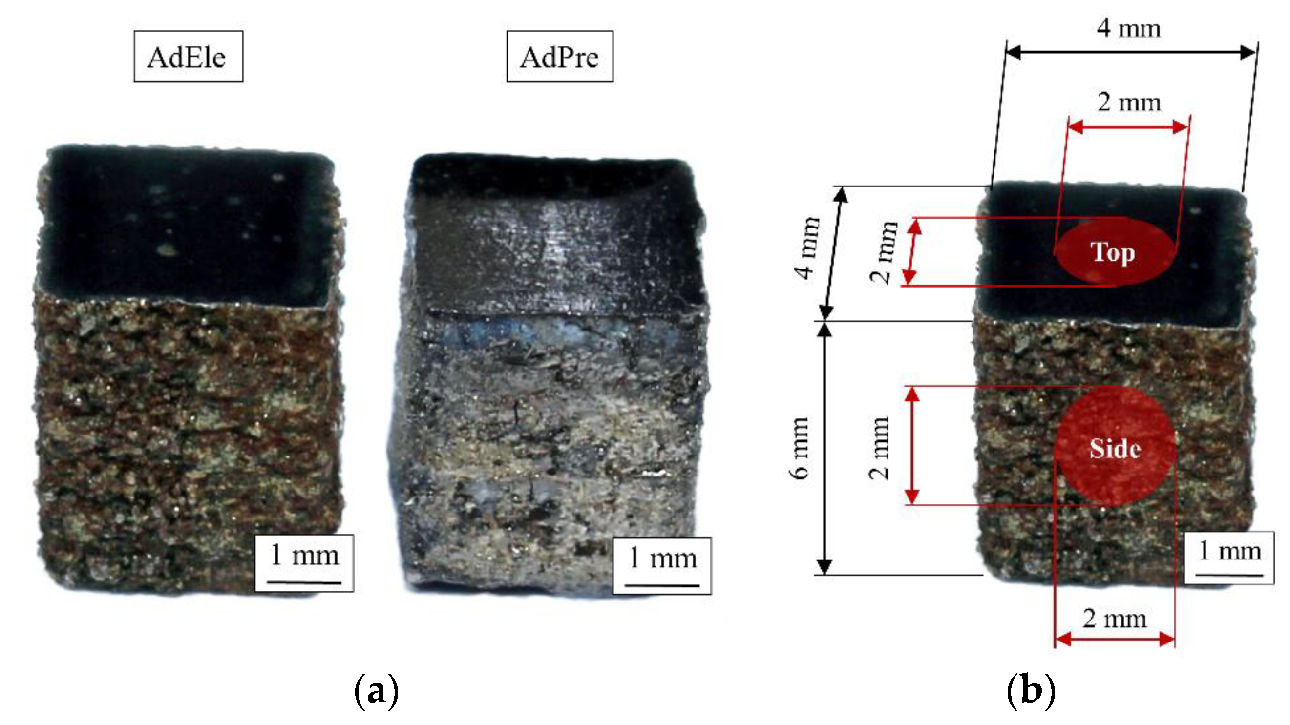 Materials 14 03344 g004