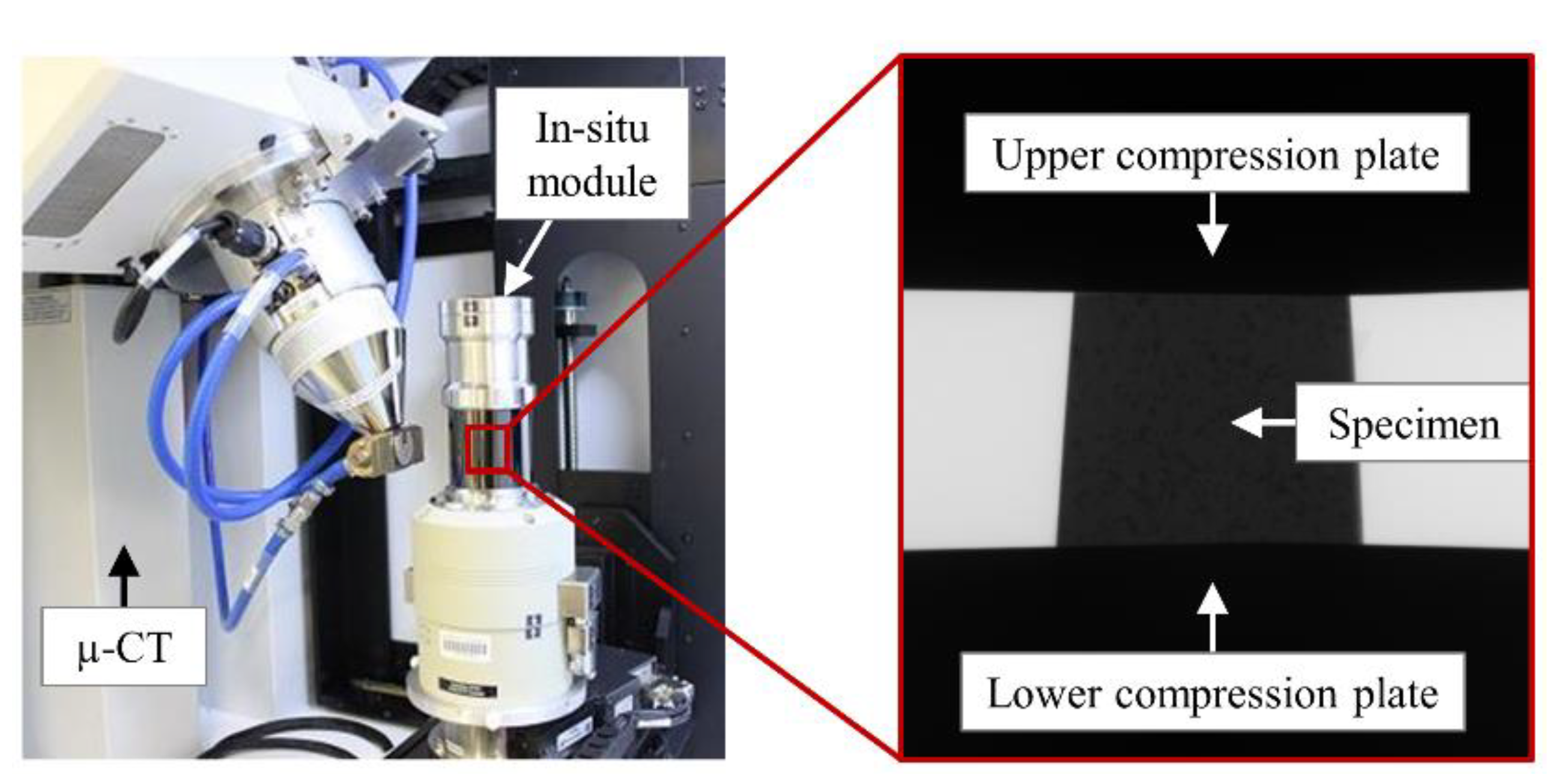 Materials 14 03344 g005
