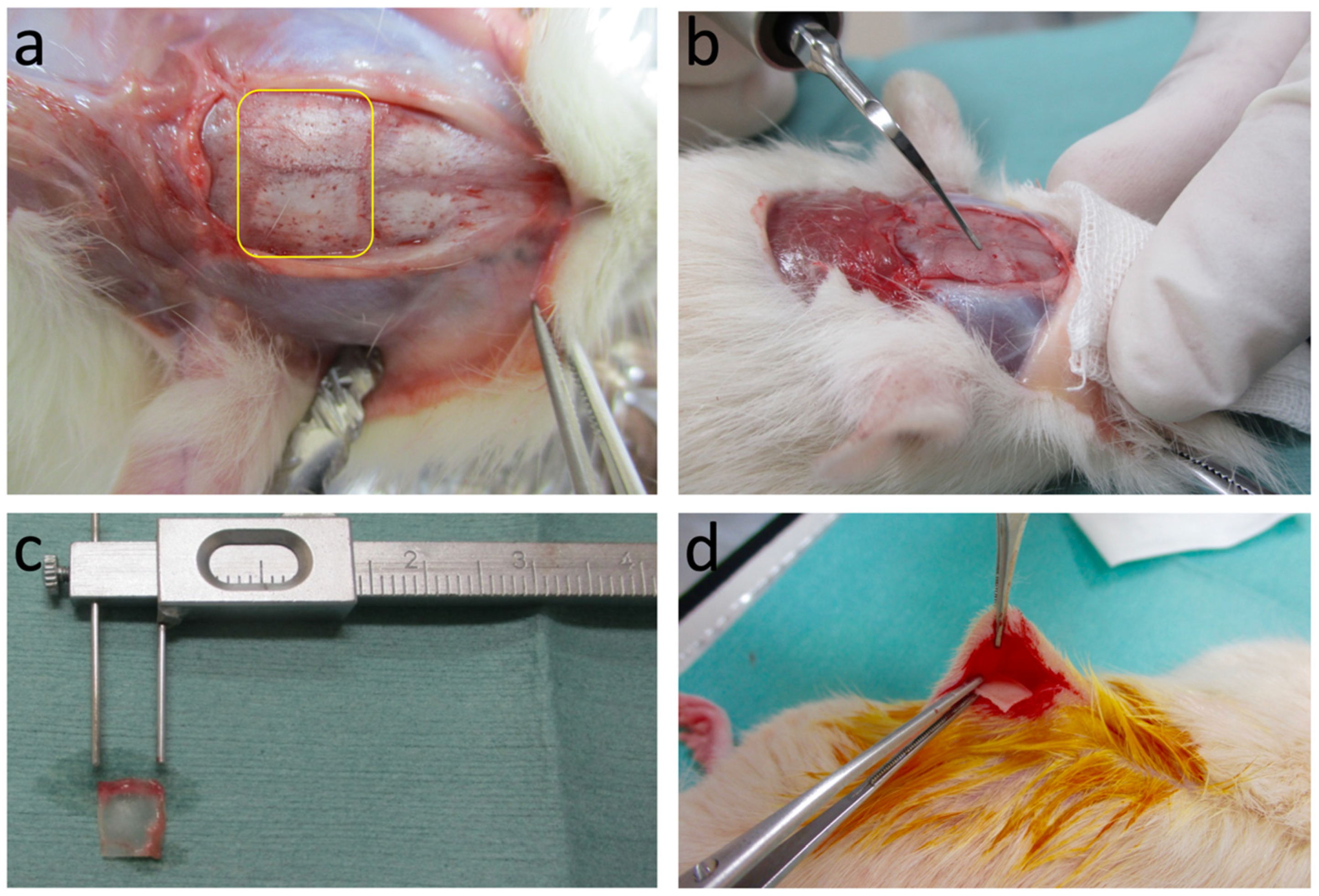 Materials 14 03347 g002