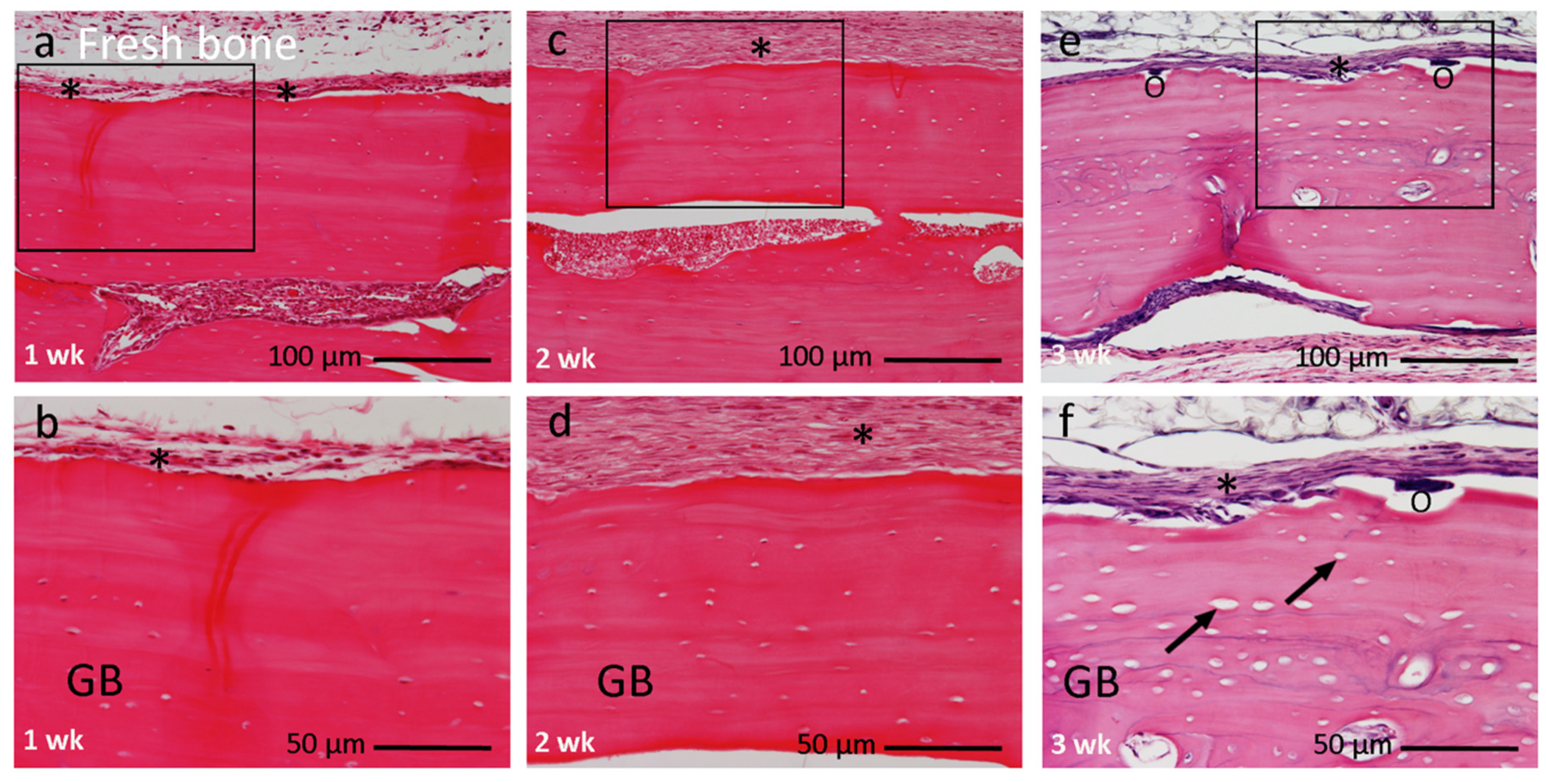 Materials 14 03347 g004