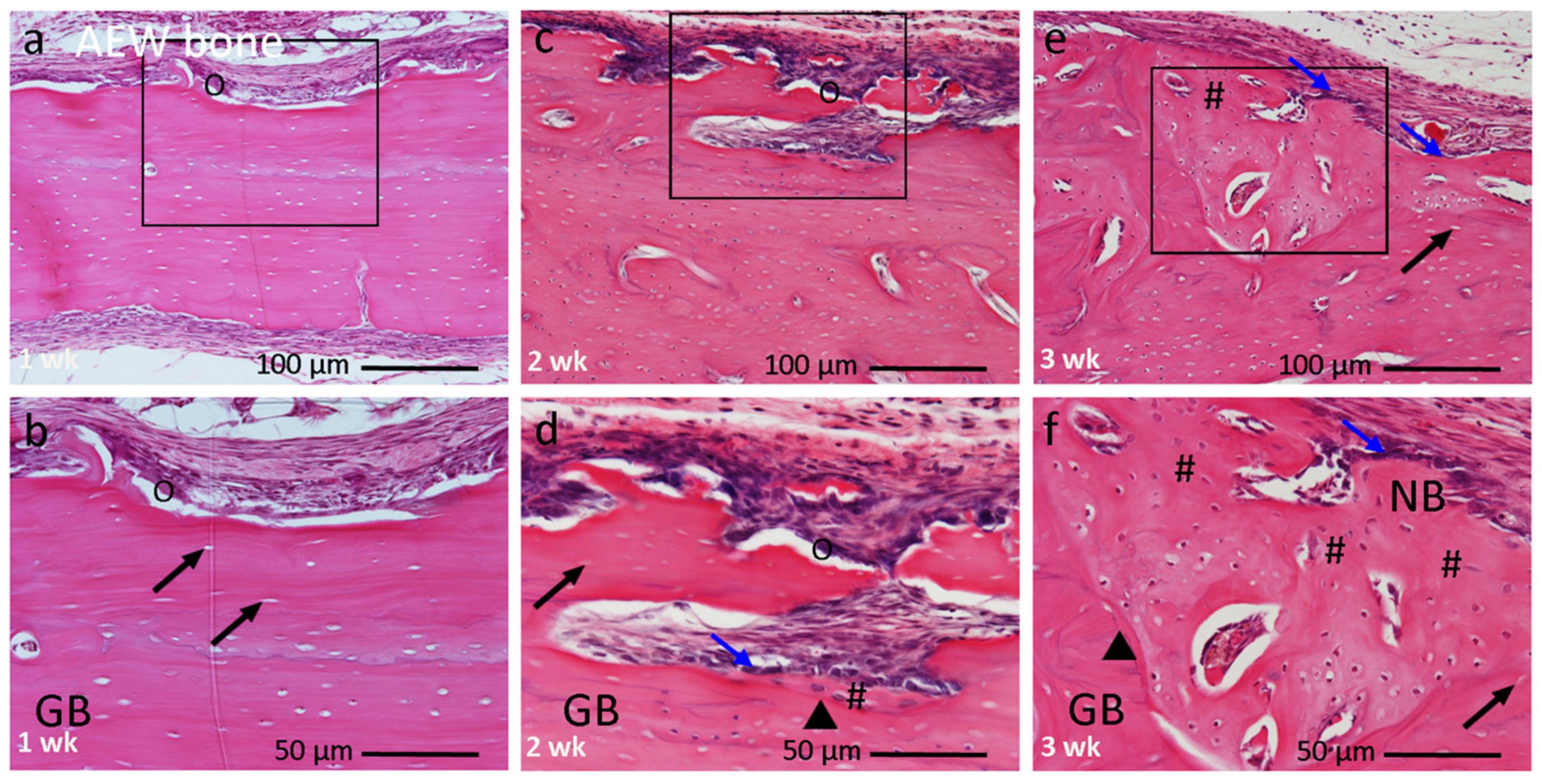 Materials 14 03347 g006