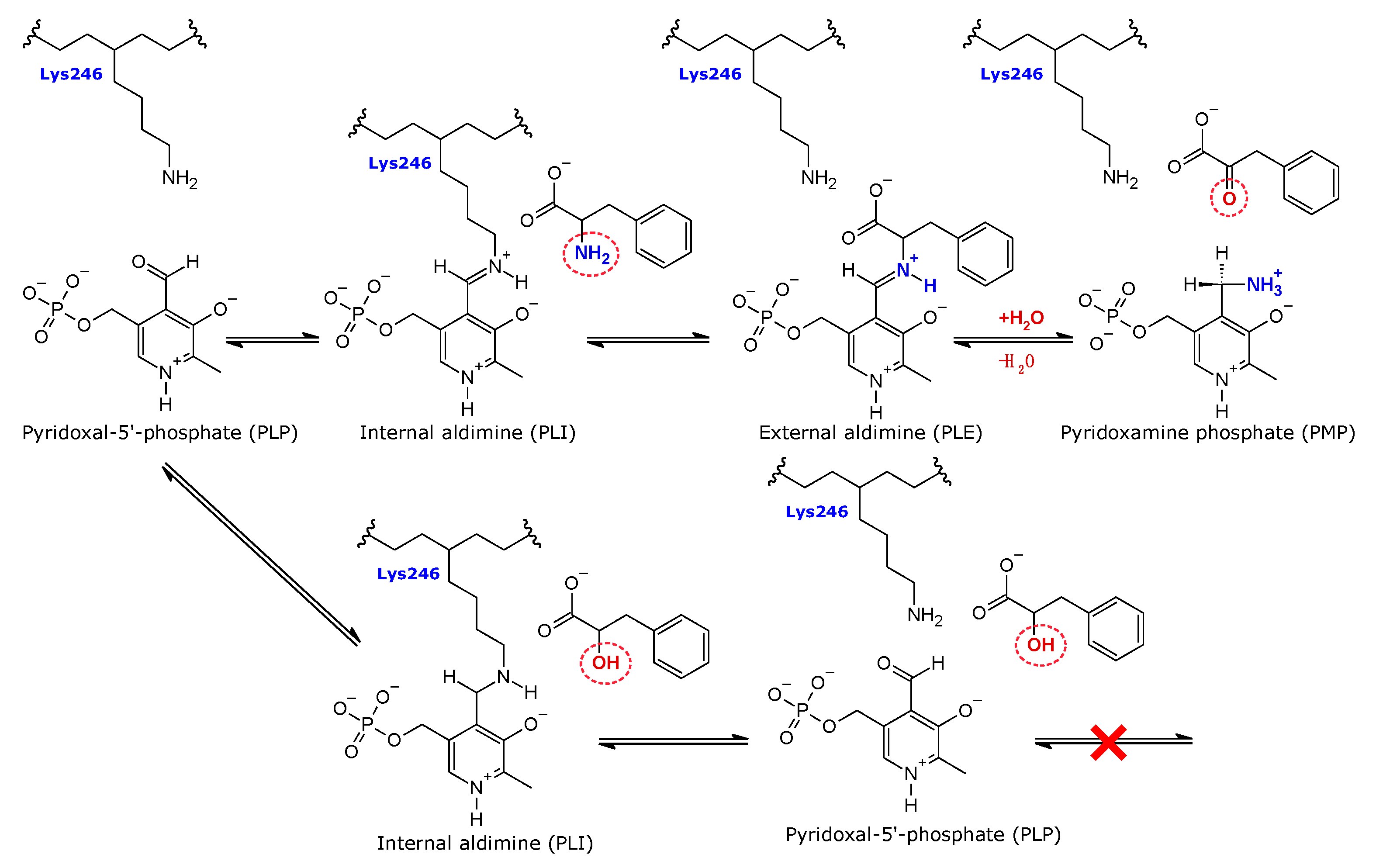 Materials 14 03351 g001