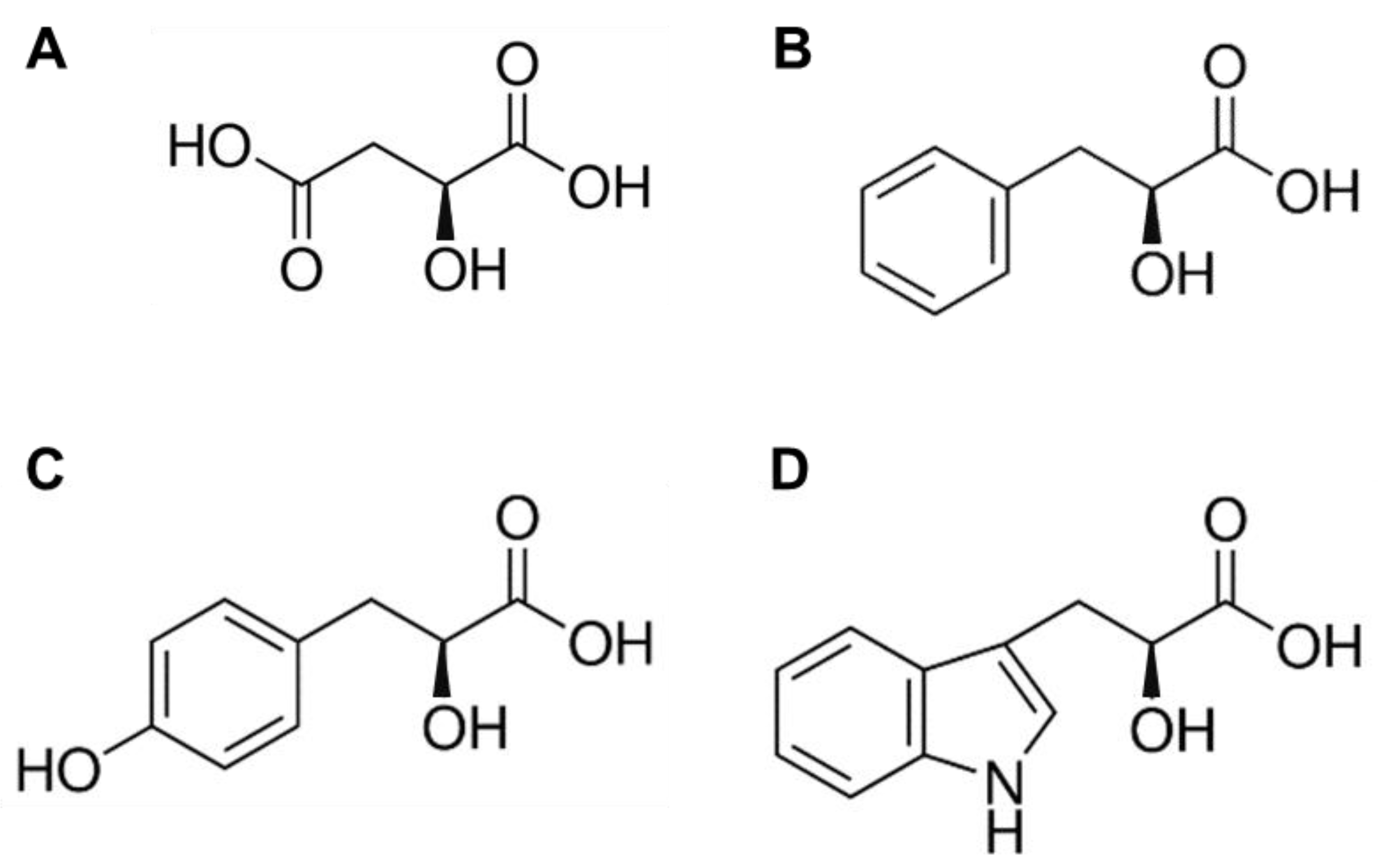 Materials 14 03351 g002