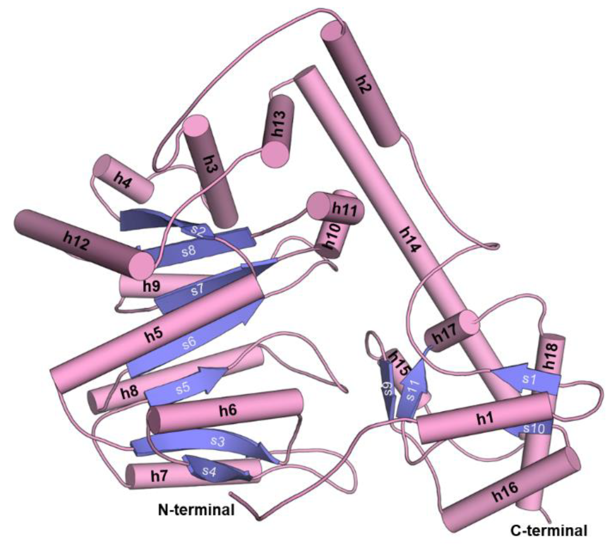 Materials 14 03351 g003