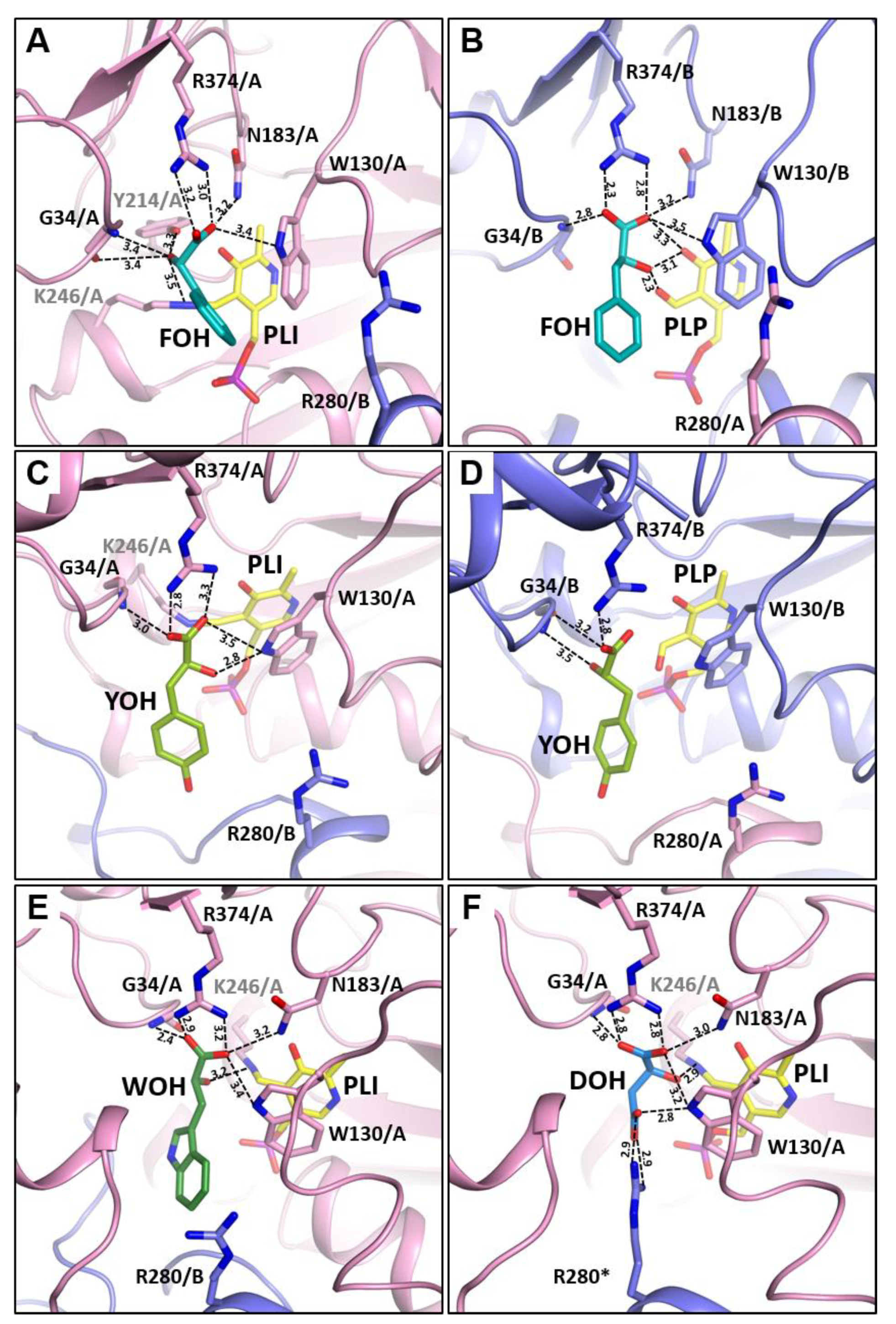 Materials 14 03351 g006