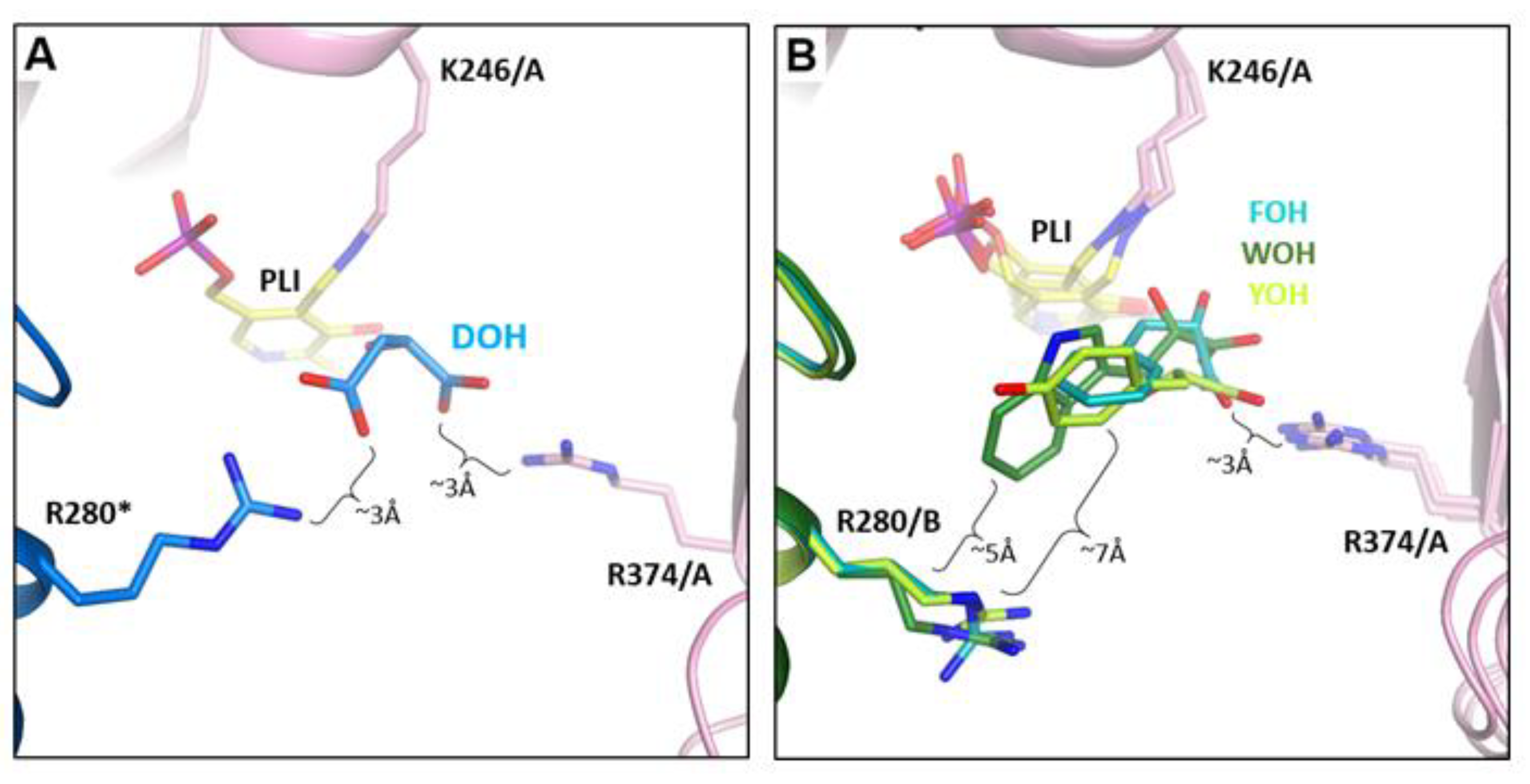 Materials 14 03351 g007