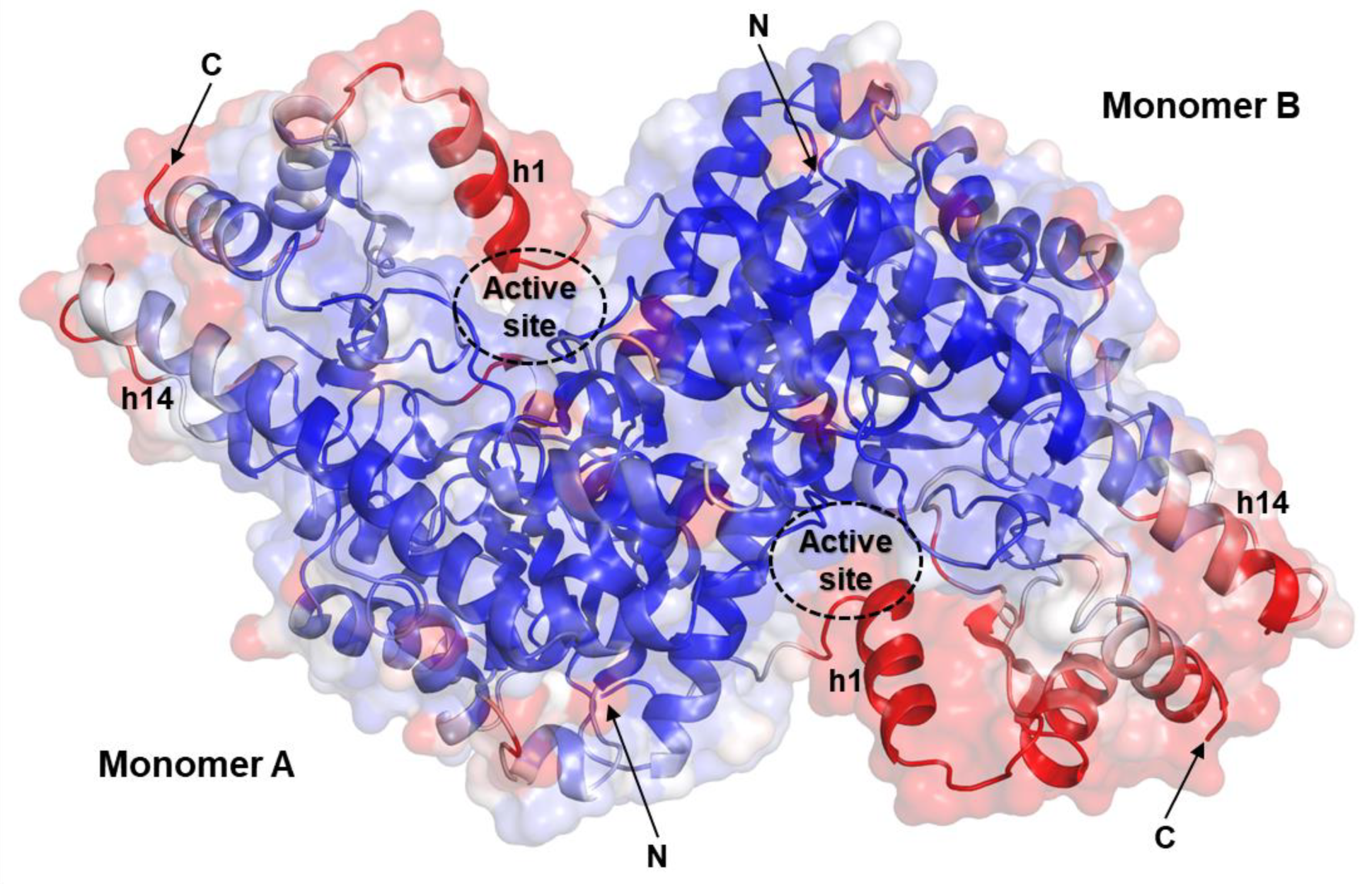 Materials 14 03351 g010