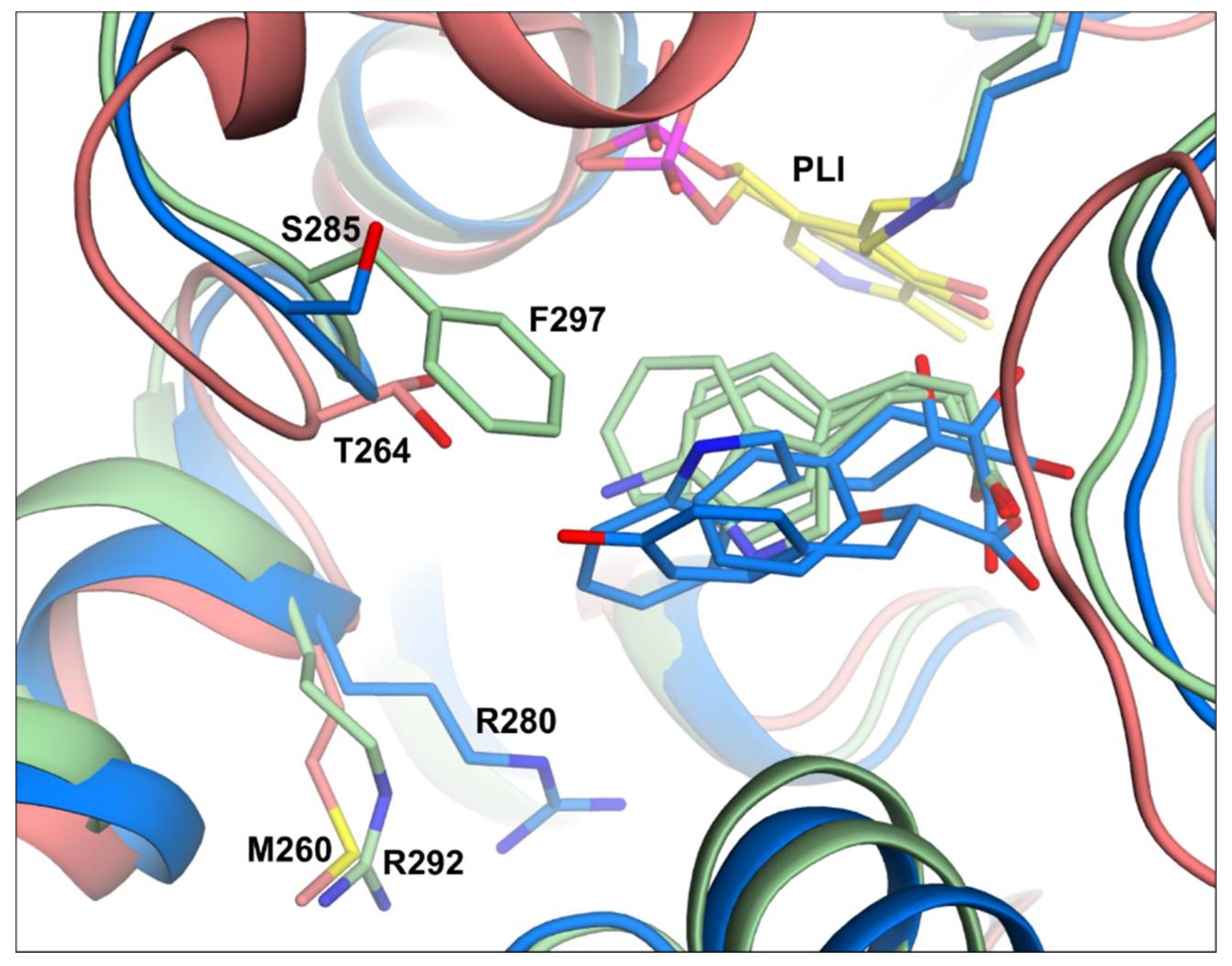 Materials 14 03351 g011