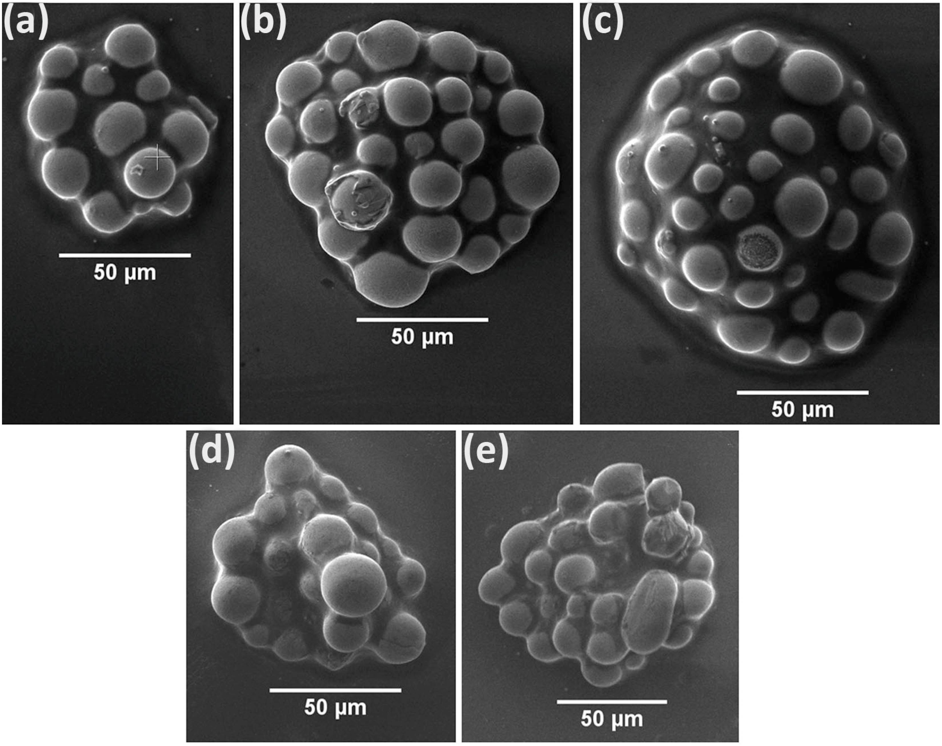 Materials 14 03353 g005 550