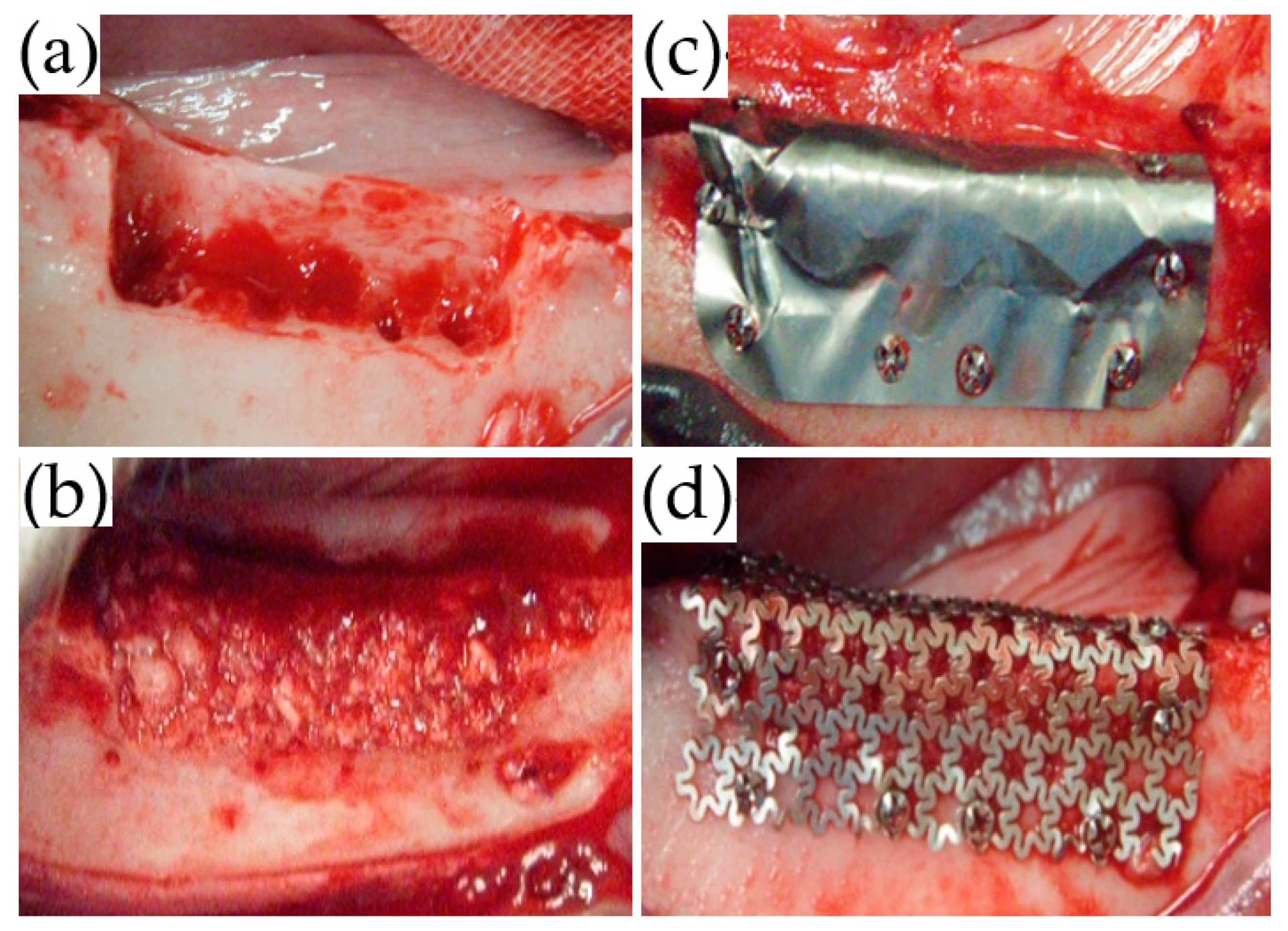 Materials 14 03358 g003