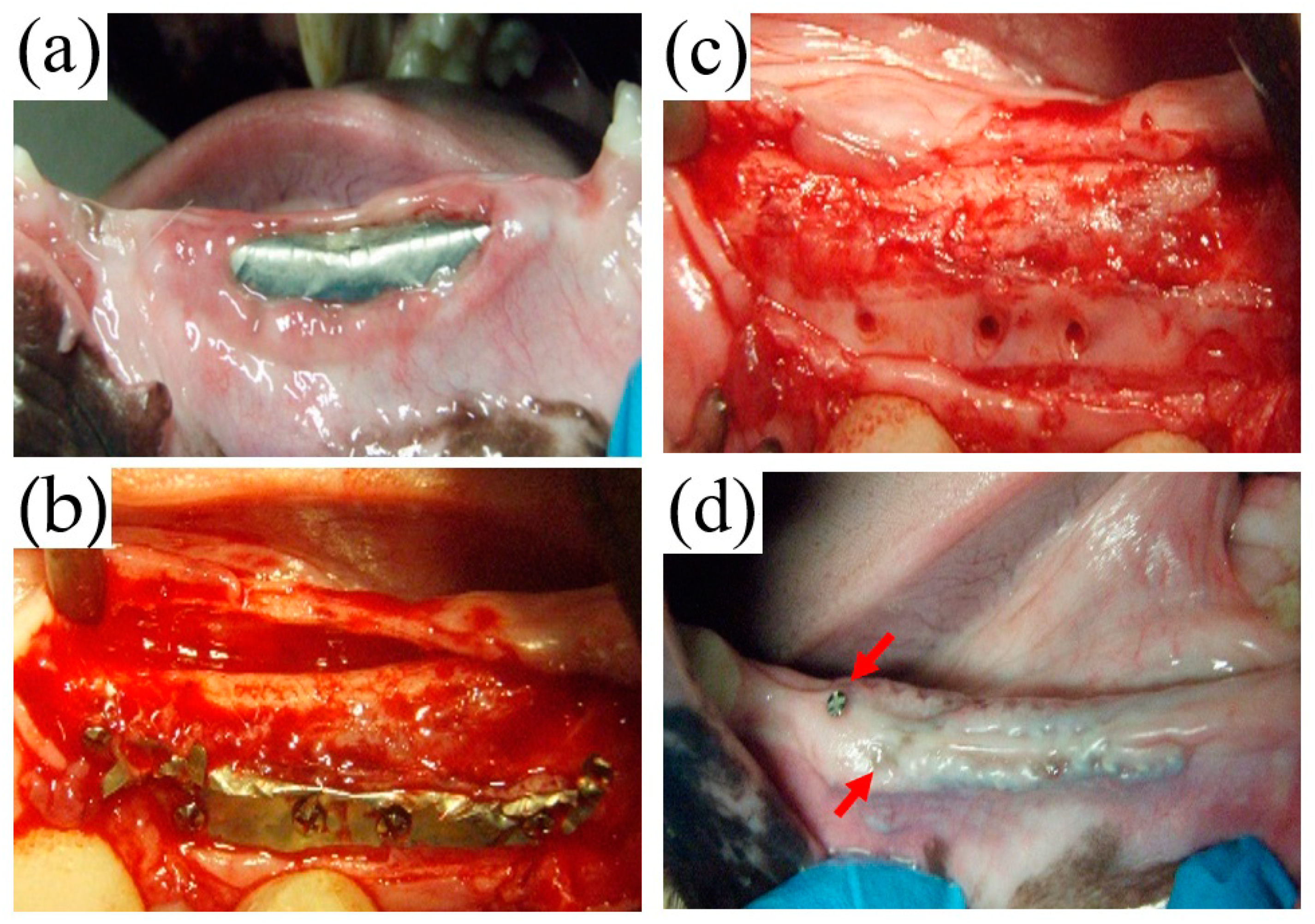 Materials 14 03358 g006