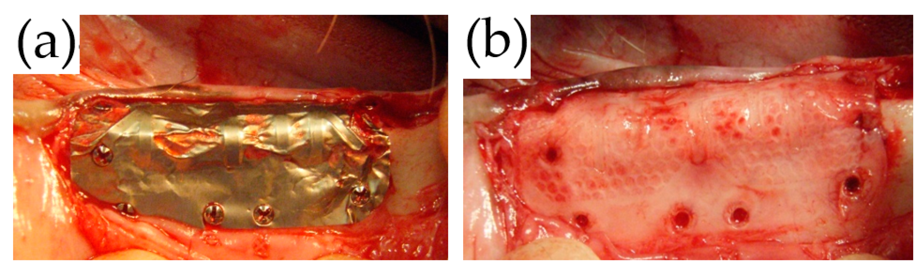 Materials 14 03358 g007