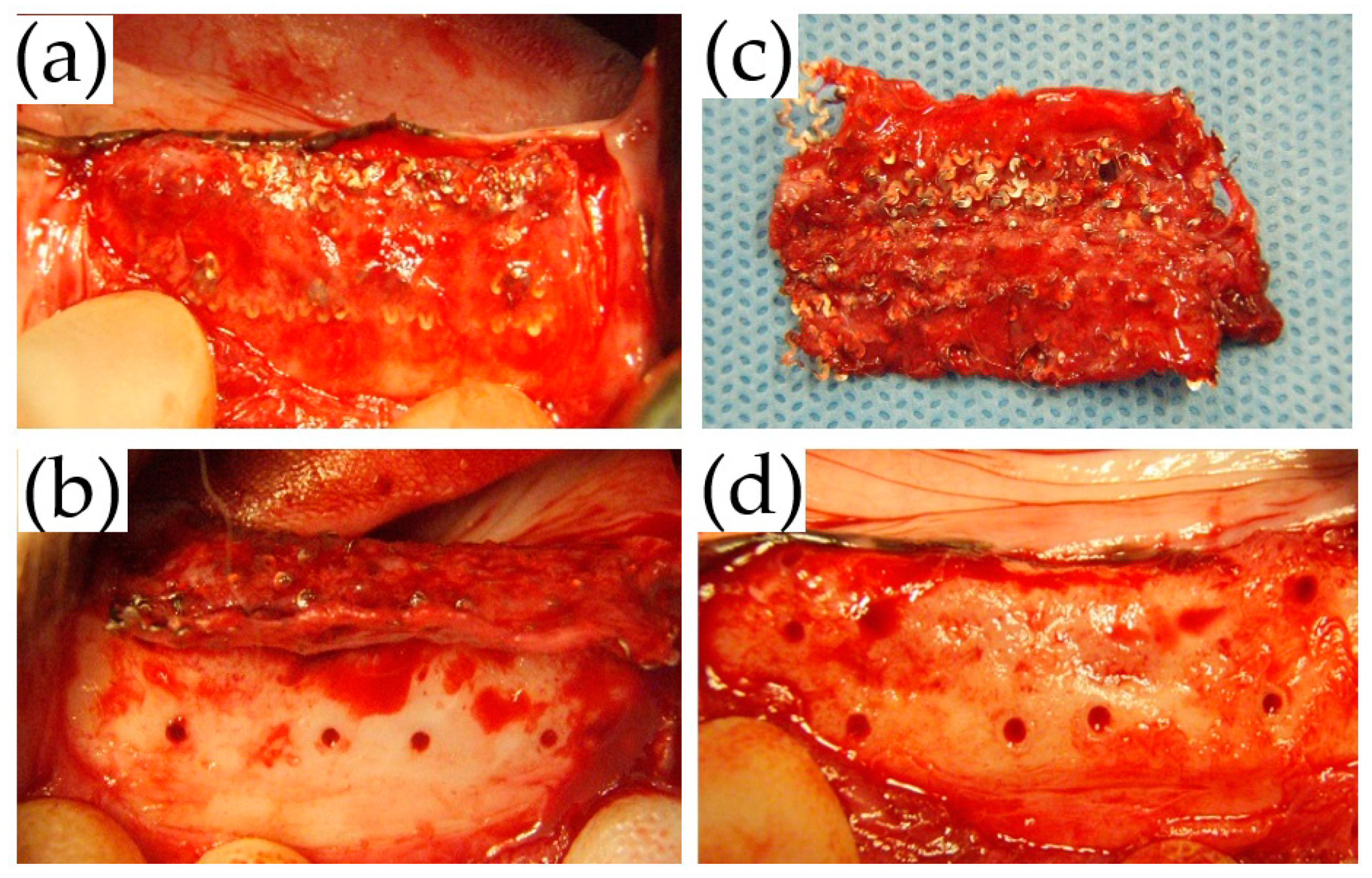 Materials 14 03358 g008
