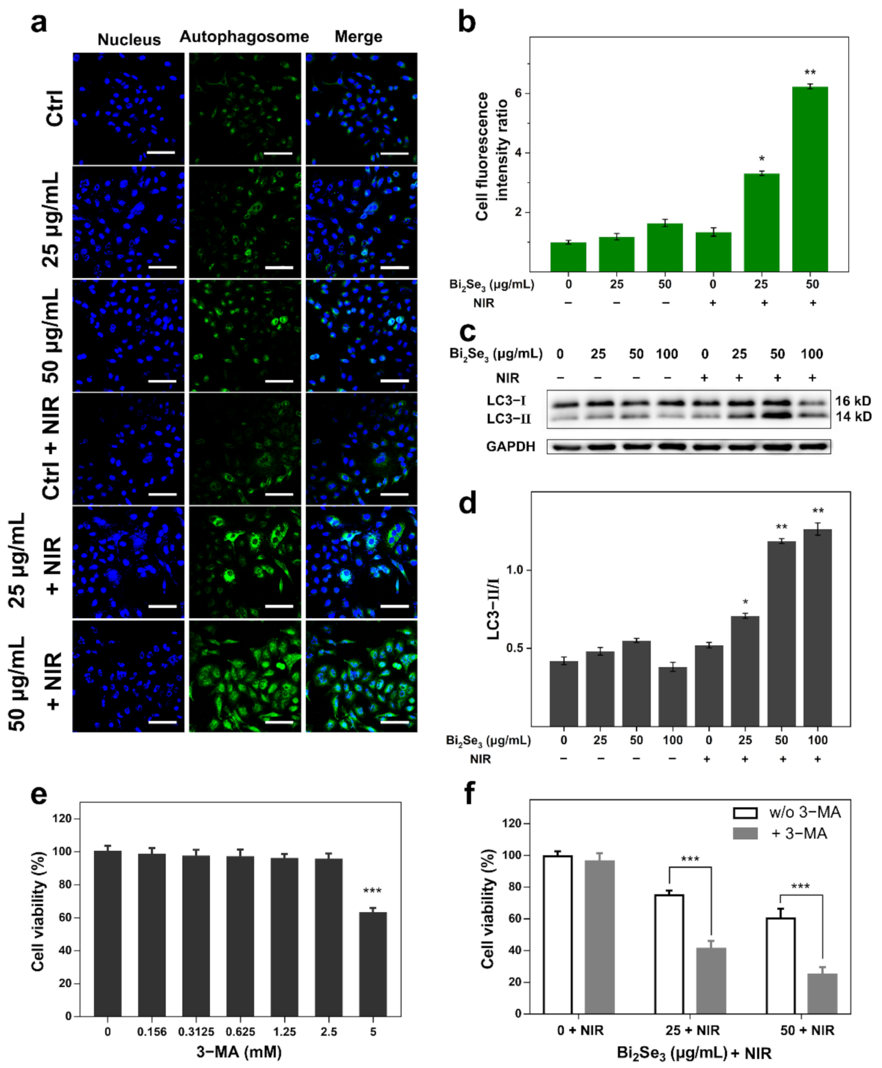 Materials 14 03373 g004 Materials 14 03373 g004
