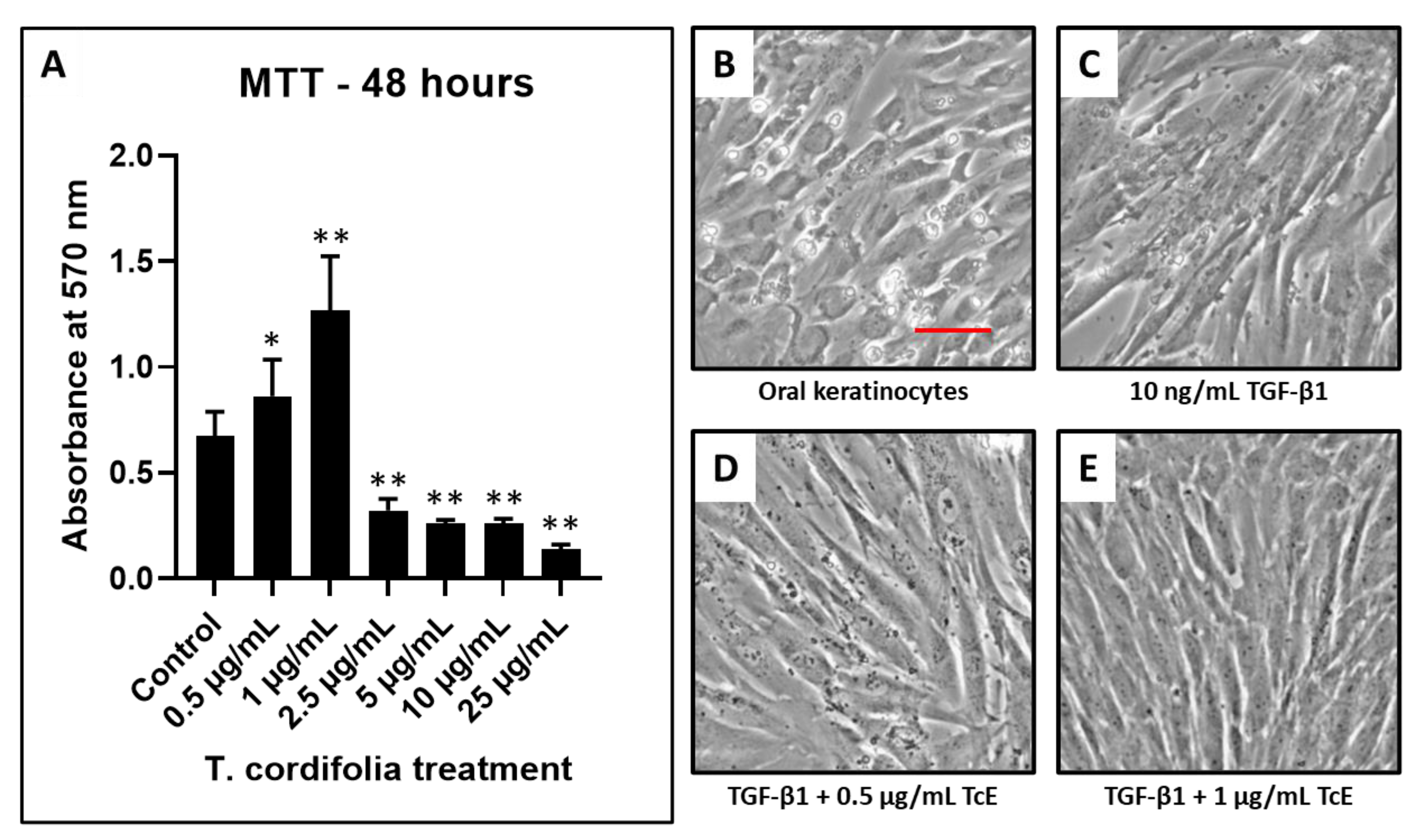 Materials 14 03374 g001 Materials 14 03374 g001