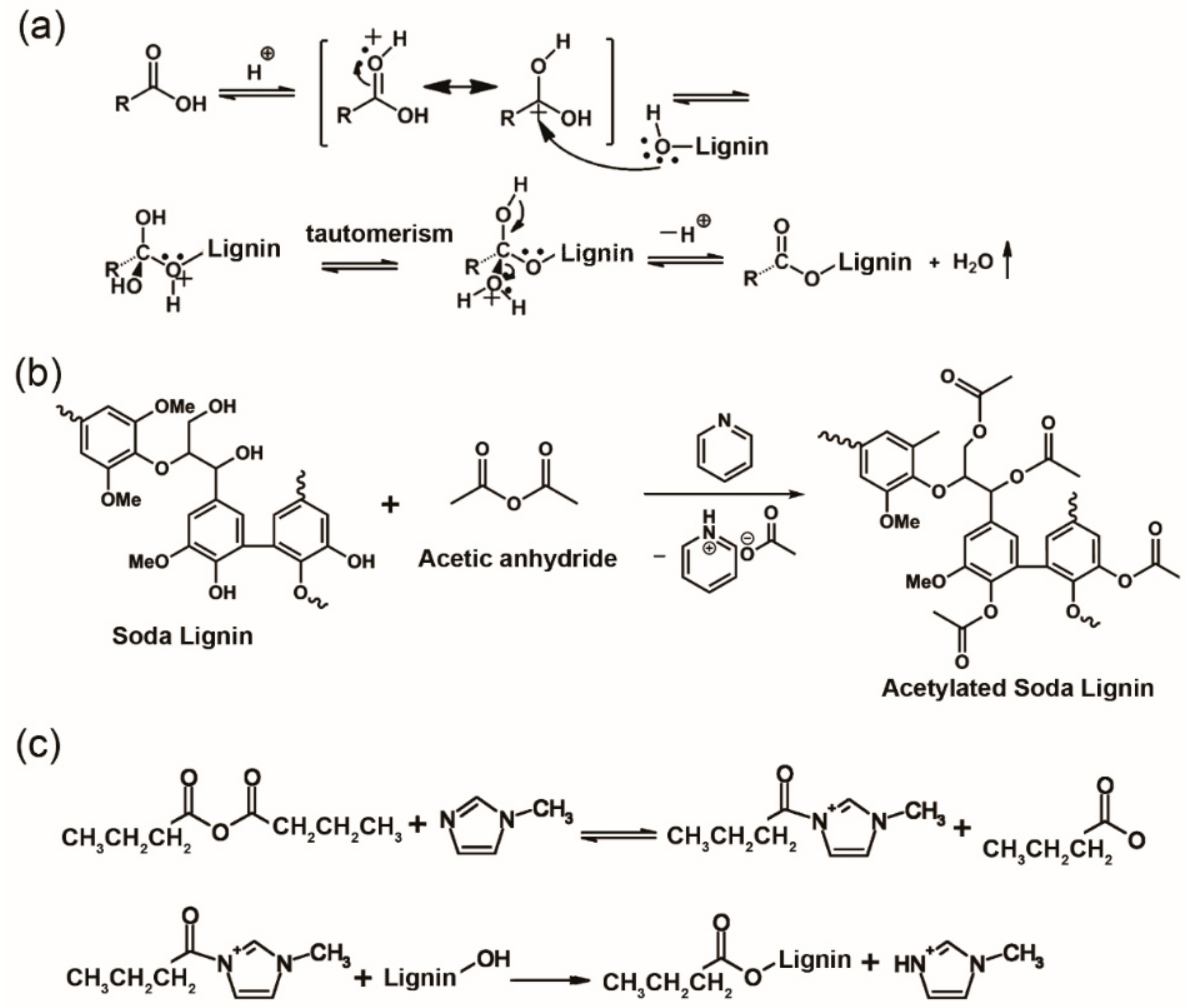 Materials 14 03378 g004
