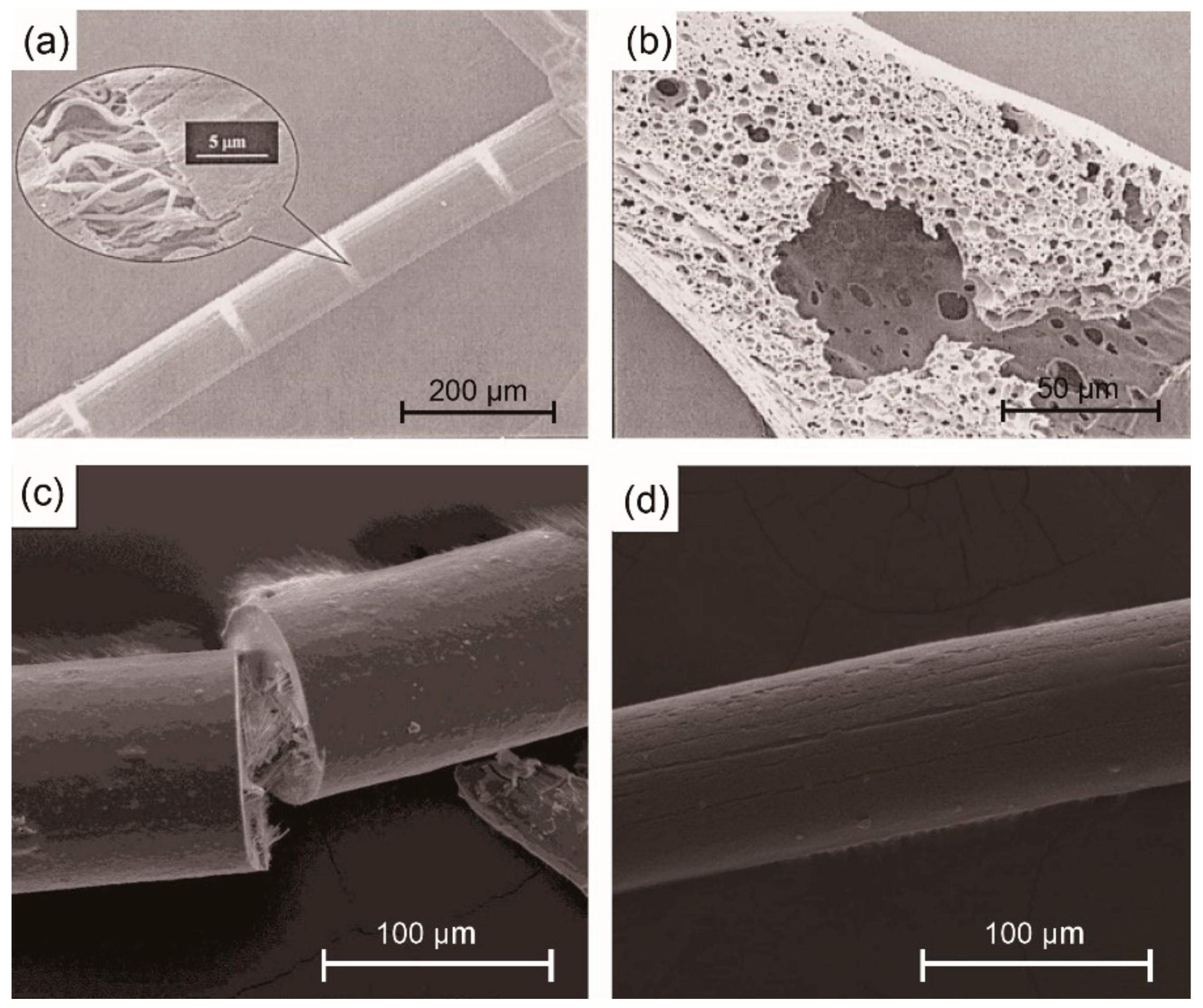 Materials 14 03378 g005