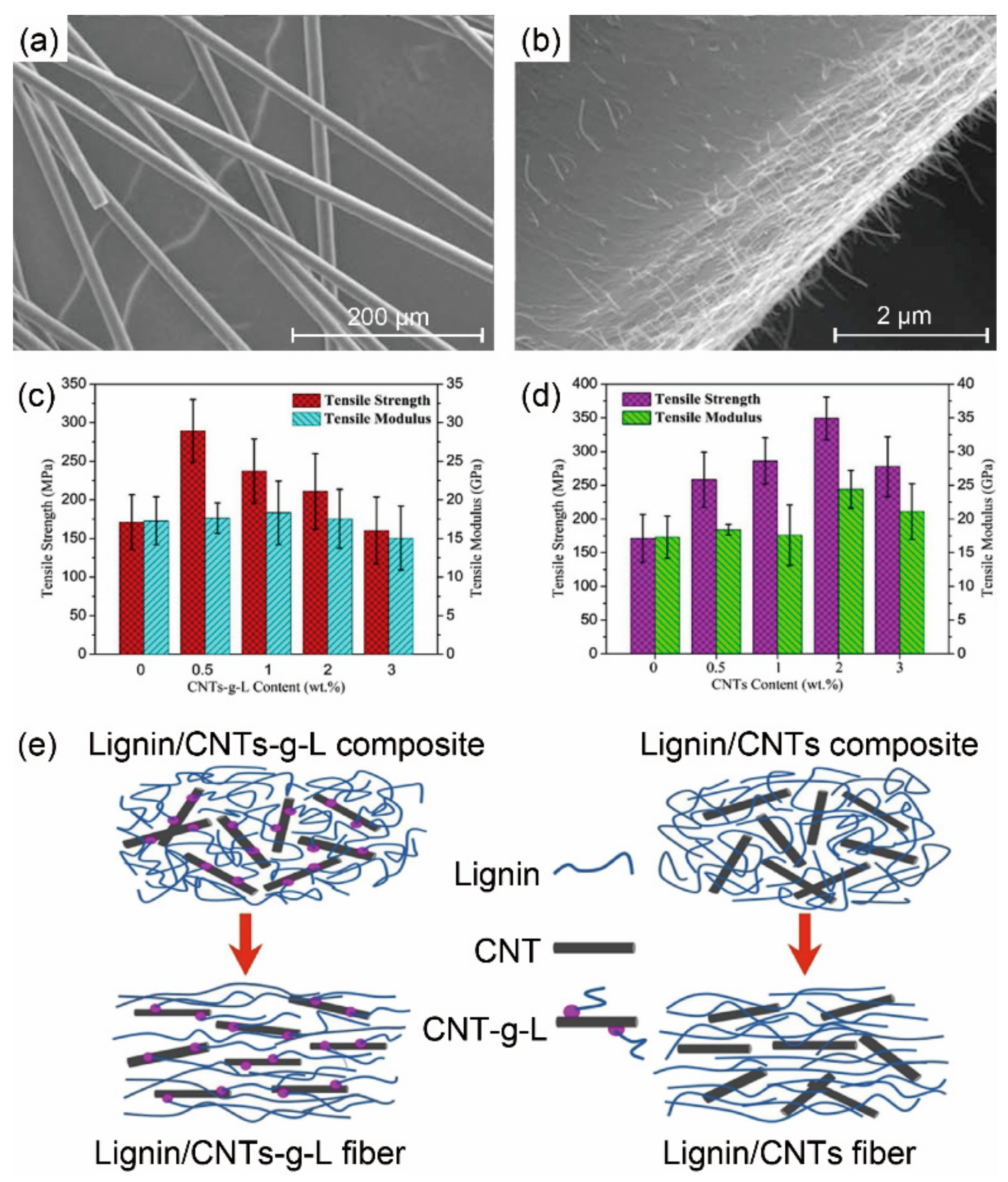 Materials 14 03378 g007