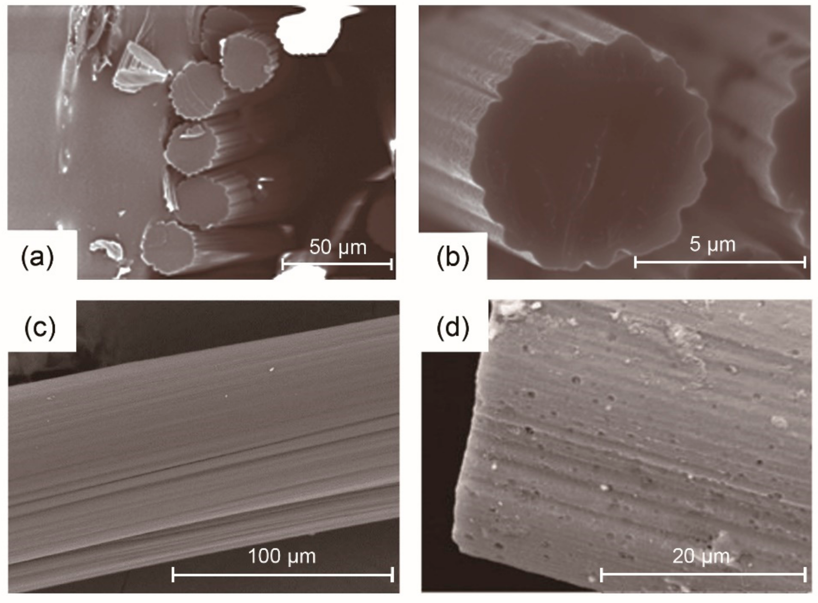 Materials 14 03378 g008