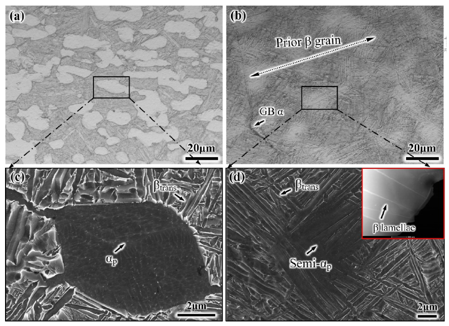 Materials 14 03380 g003