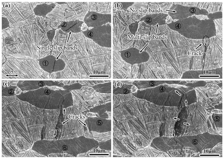 Materials 14 03380 g007