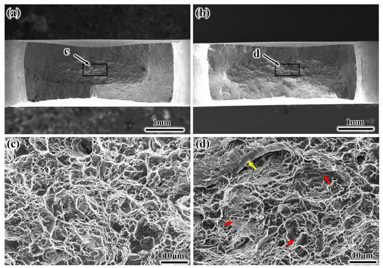 Materials 14 03380 g013