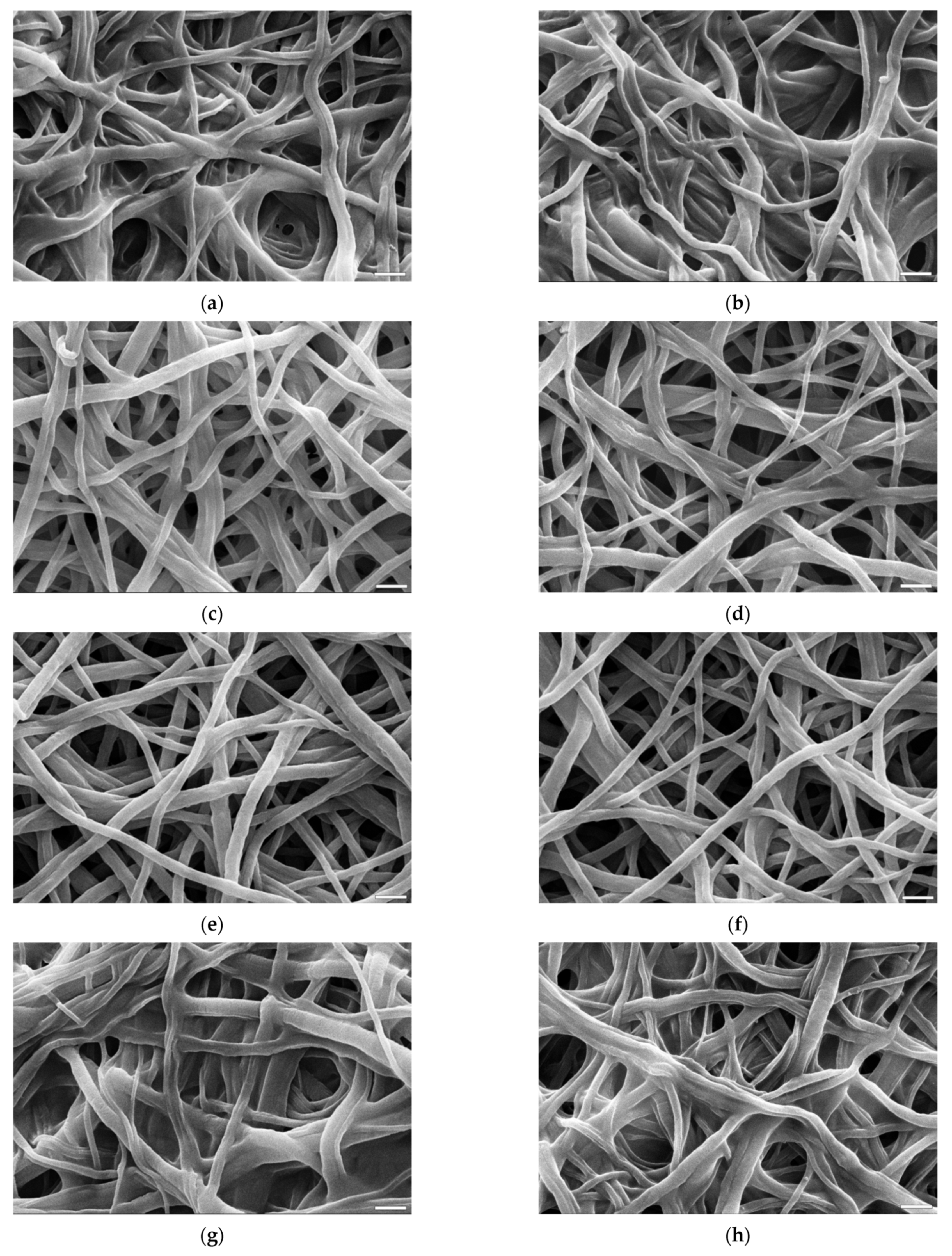 Materials 14 03391 g009