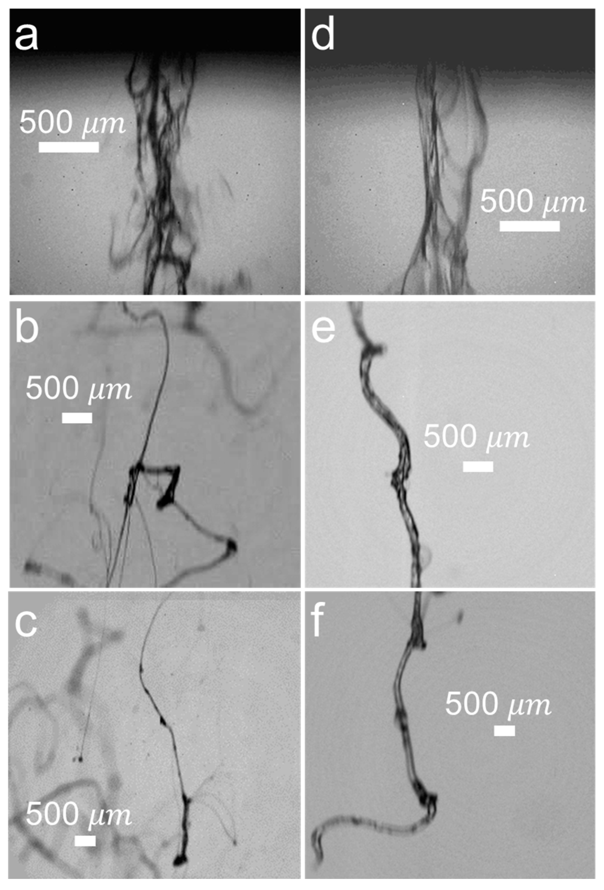 Materials 14 03399 g005