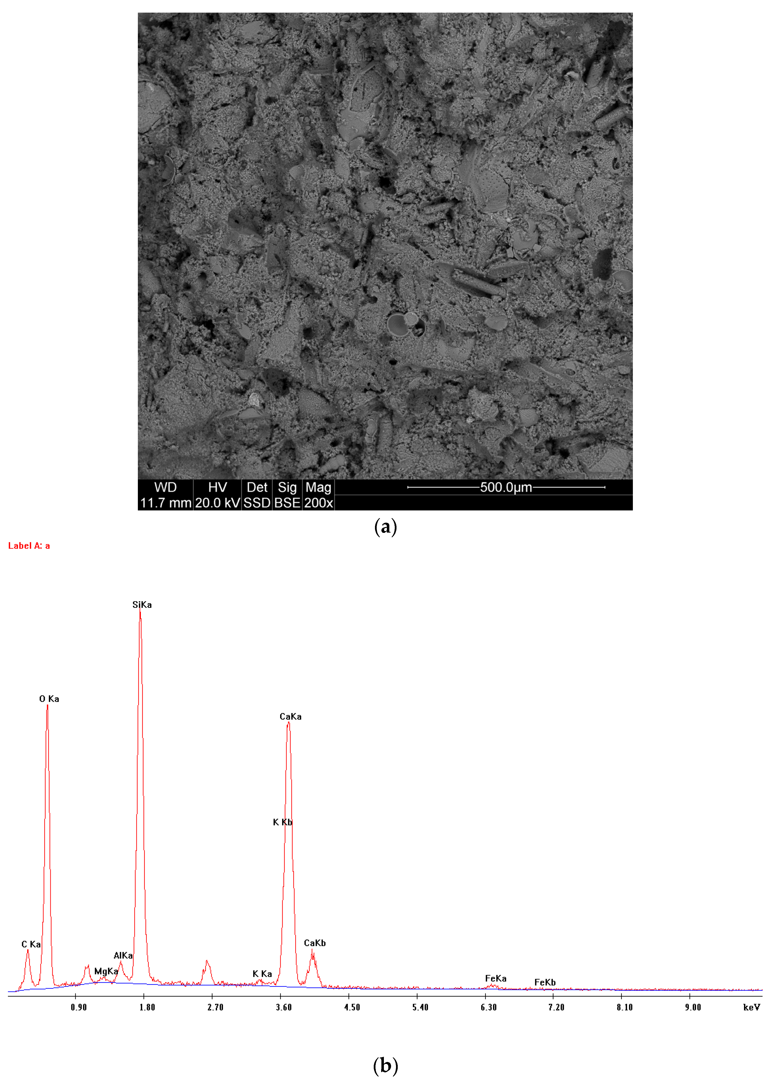 Materials 14 03403 g006