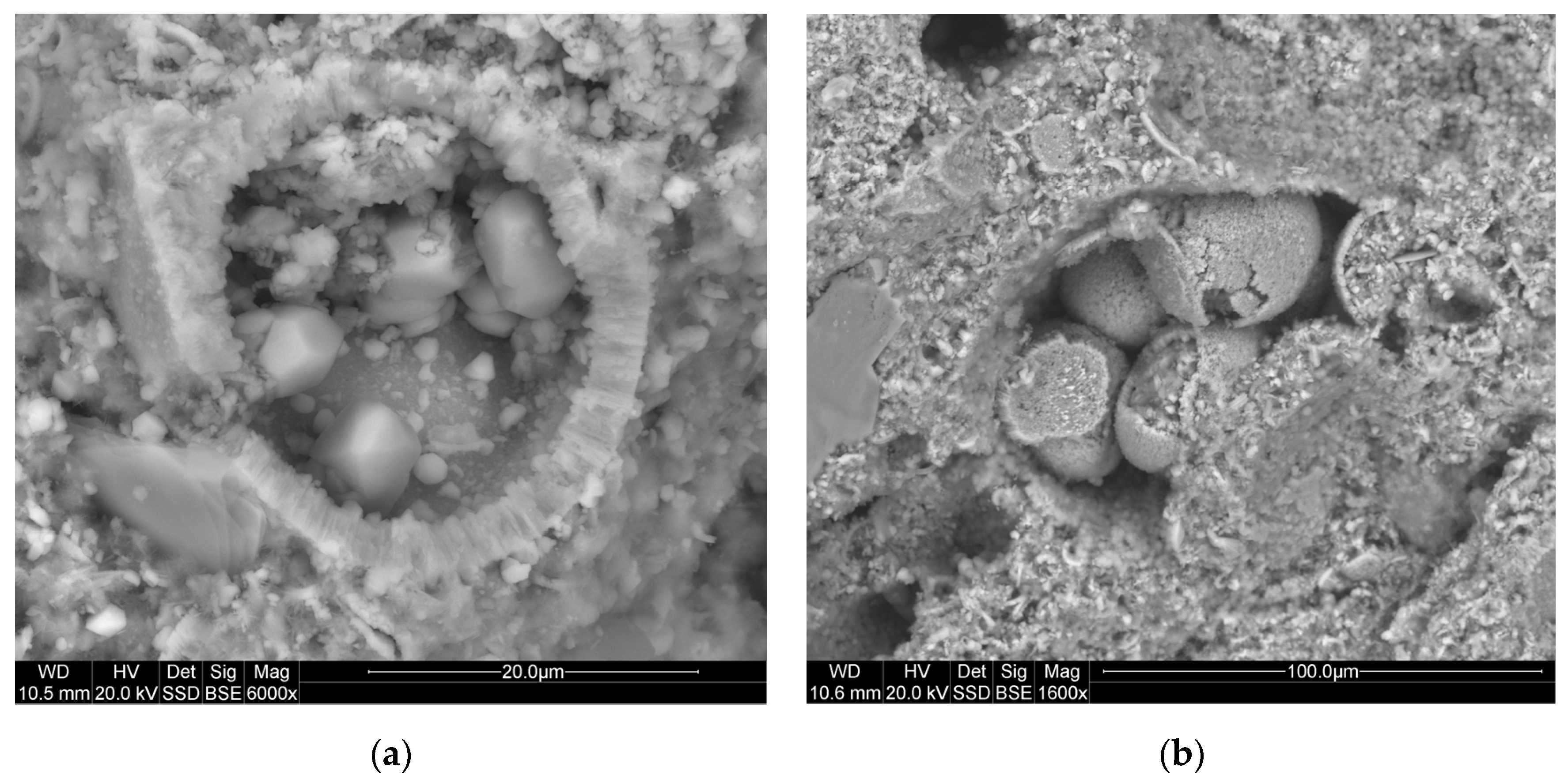 Materials 14 03403 g008