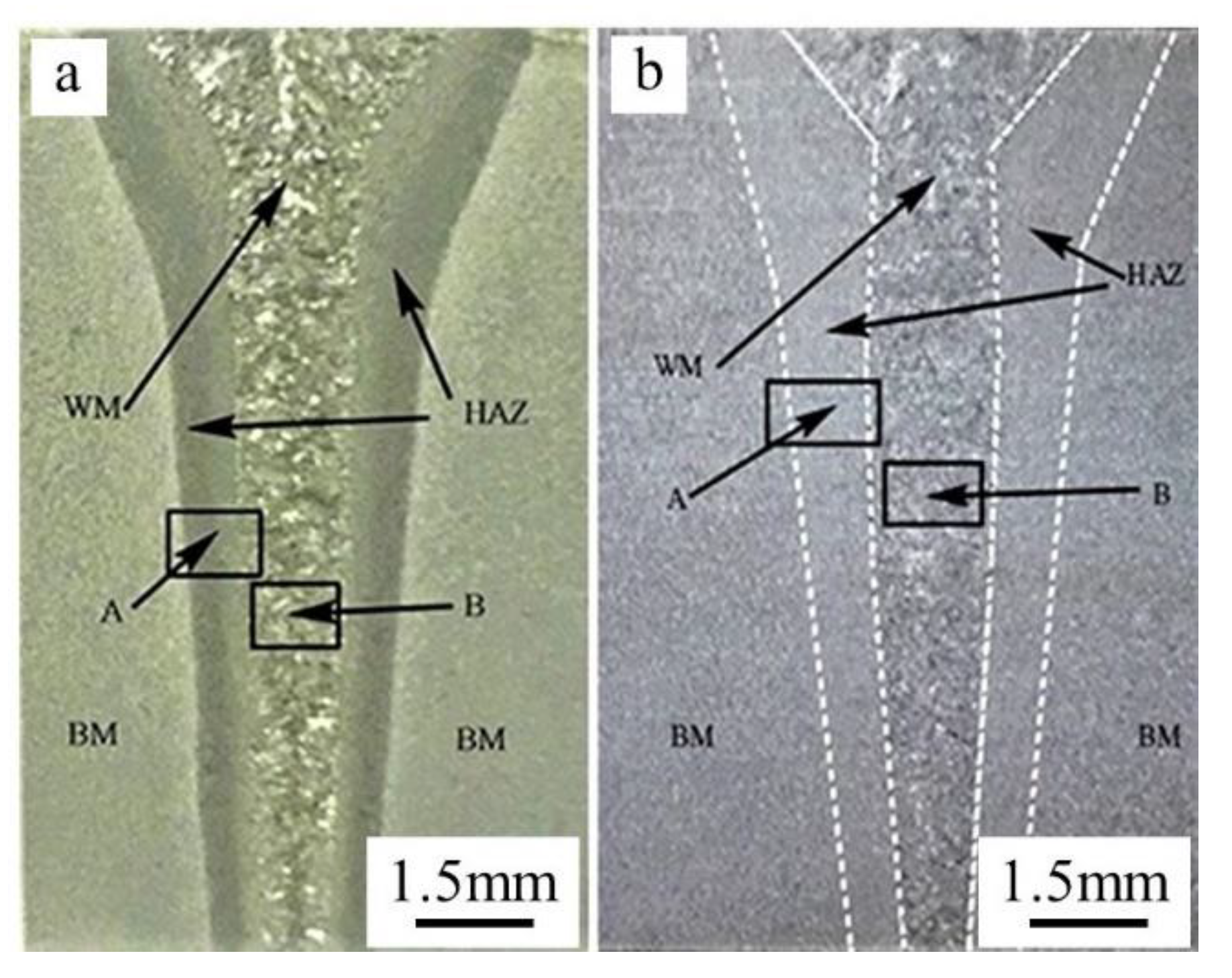 Materials 14 03405 g012
