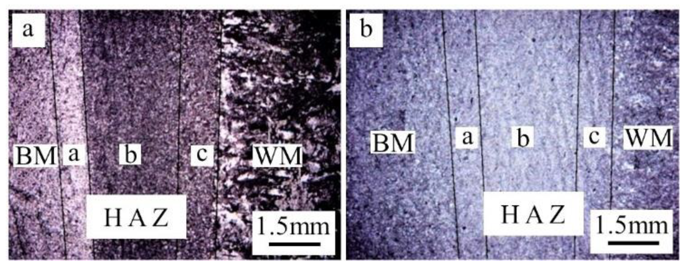 Materials 14 03405 g013