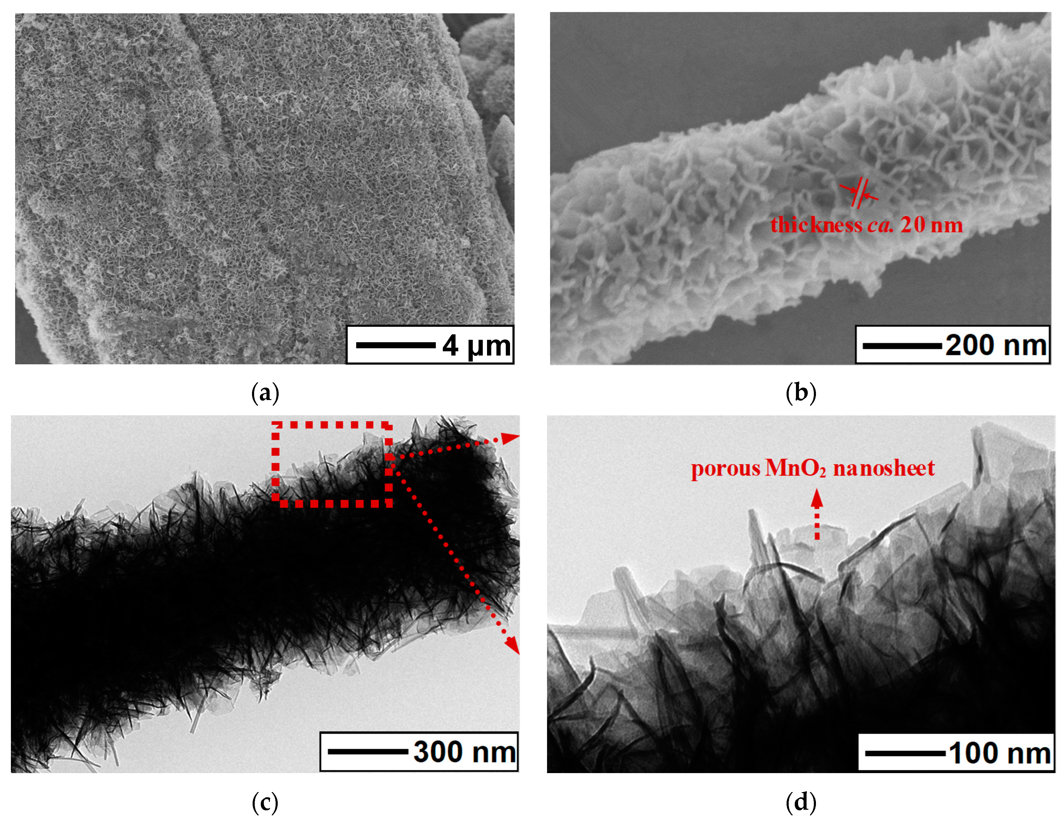 Materials 14 03411 g001