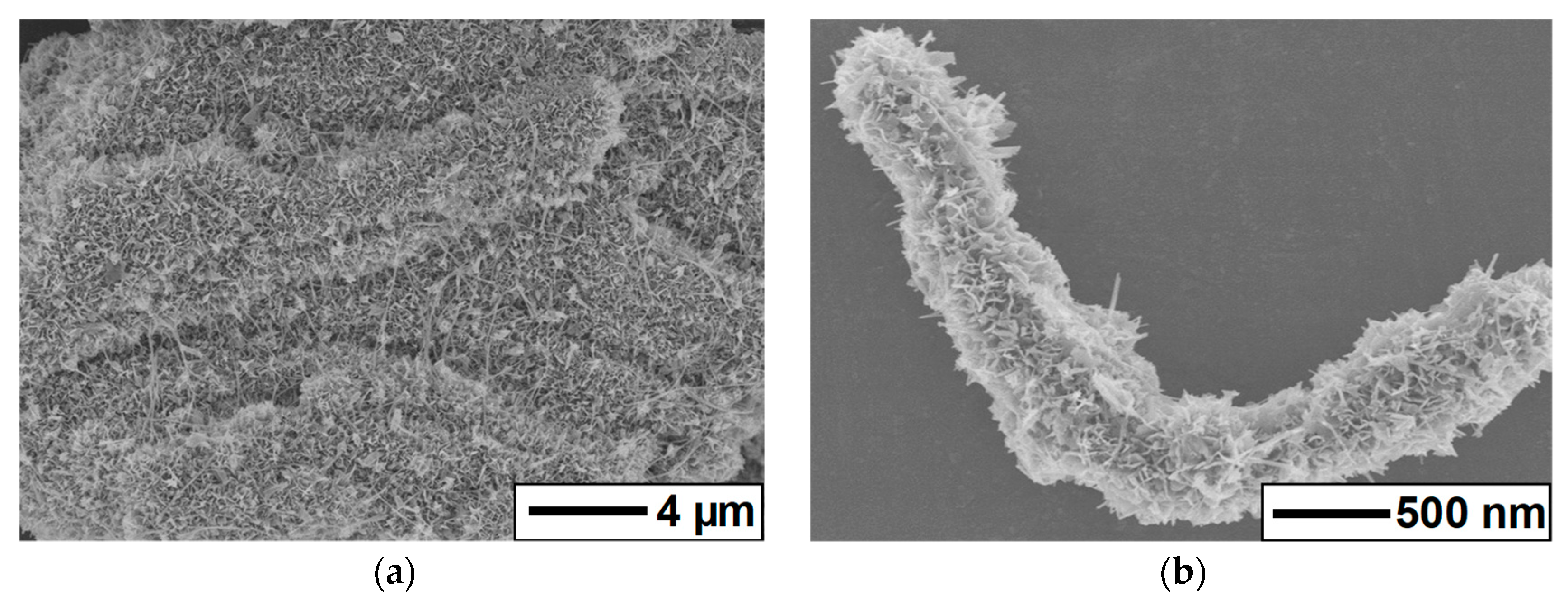 Materials 14 03411 g003a