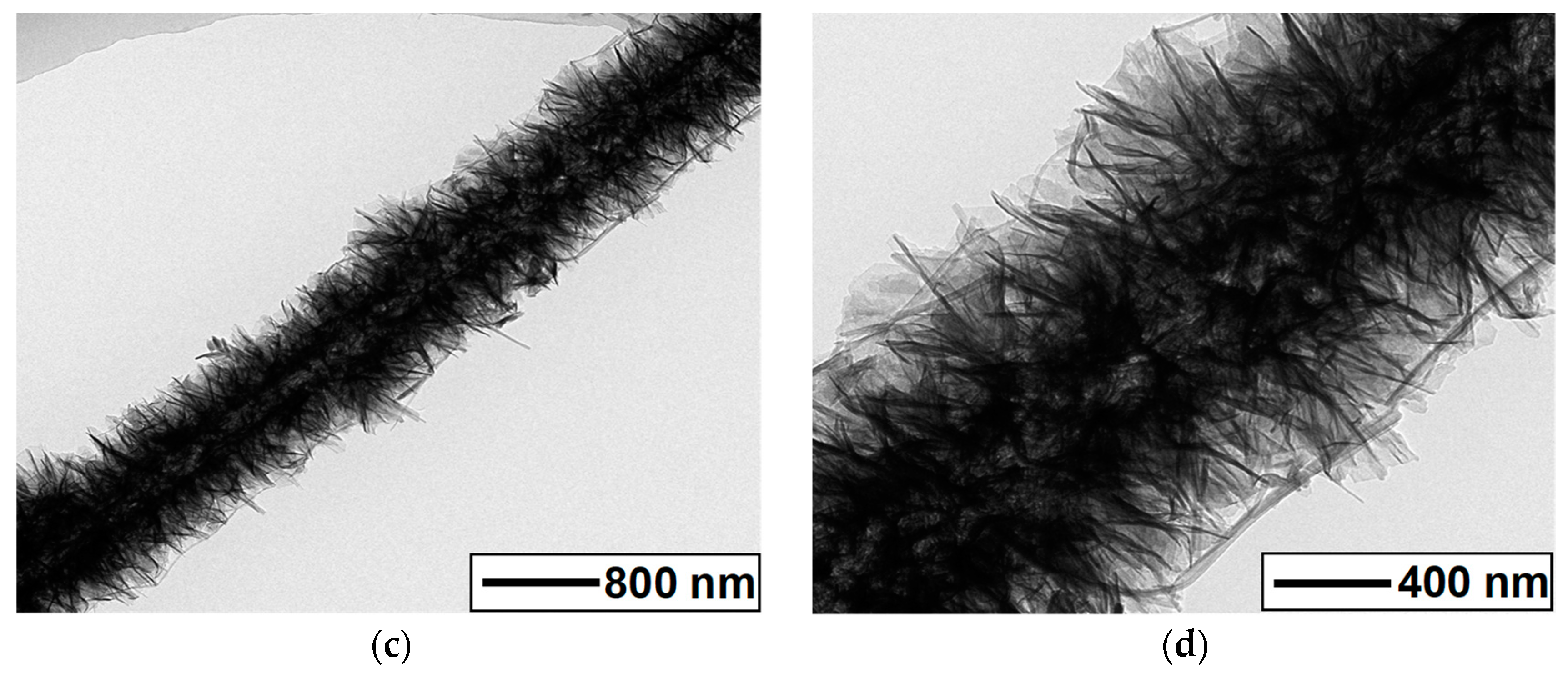 Materials 14 03411 g003b