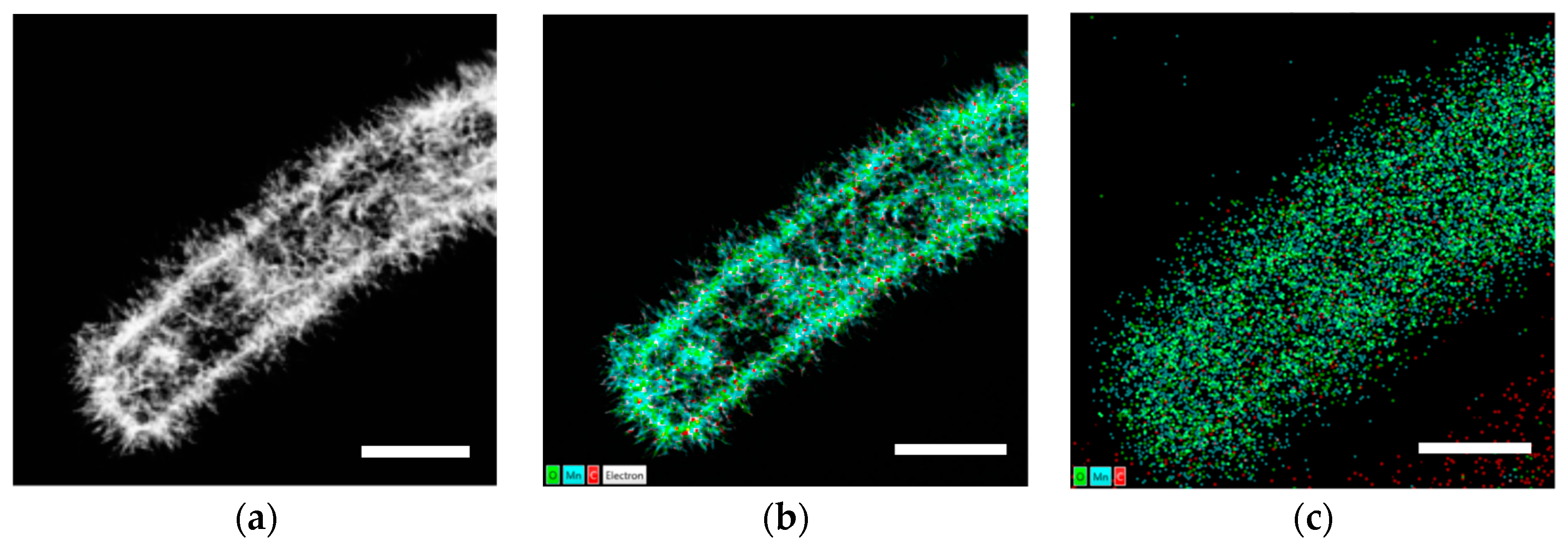 Materials 14 03411 g004a